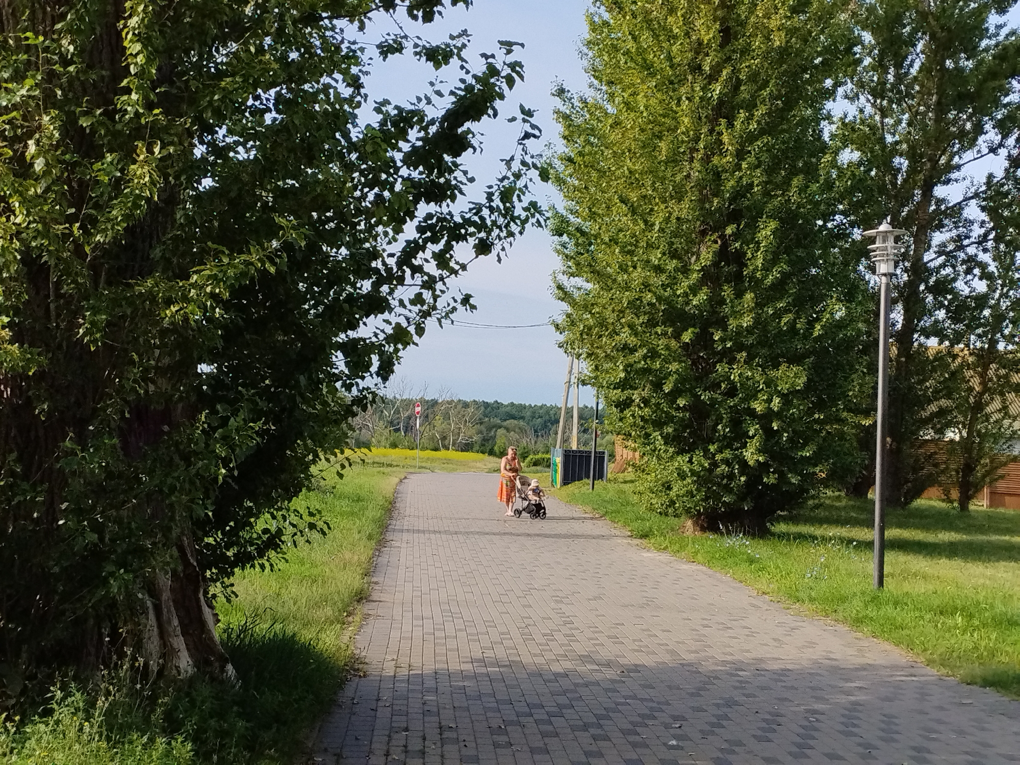 An adult and child walk along a paved path through a grassy park with large trees on either side. The adult, wearing a patterned dress, pushes a double stroller with a child in it. The path is made of interlocking grey bricks. A modern street lamp stands to the right of the path. The background shows a treeline and a hint of a building. The sky is clear and blue. The scene appears to be set in a well-maintained park or recreational area. This image is not from Minsk, Belarus.