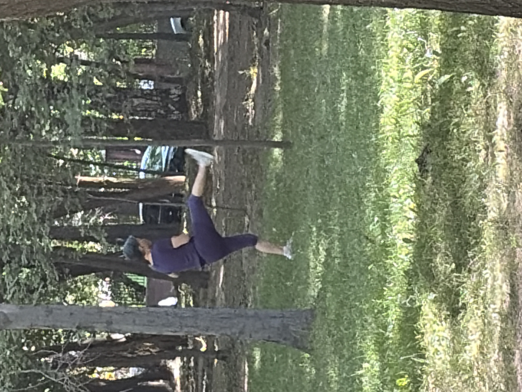 A person wearing a dark purple t-shirt and dark purple leggings is performing a martial arts kick in a park. The person is captured mid-kick with their right leg extended forward and their left leg bent at the knee, supporting their weight. The person has short dark hair and appears to be facing towards the left of the frame. The background consists of trees, grass, and a dirt path. In the distance, parts of vehicles are visible, suggesting a road or parking area nearby. The lighting indicates it is daytime, with sunlight filtering through the trees, creating dappled shadows on the ground.