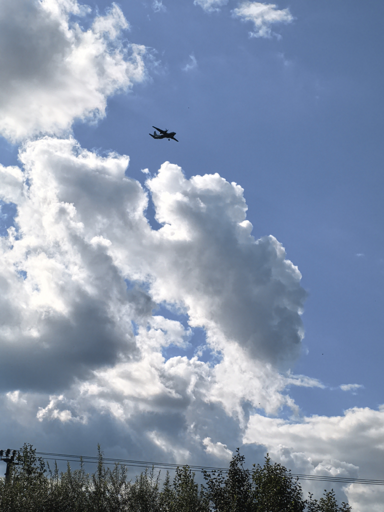 A single, dark silhouetted airplane flies through a bright blue sky filled with dramatic, sunlit white and gray cumulus clouds. The plane is positioned in the upper right quadrant of the image. Below the sky, the tops of green trees are visible, with power lines running horizontally across the frame above the foliage. A power pole with insulators is present on the left side of the image. The scene appears to be an outdoor daytime shot, likely in Мокино, Russia, given the context.