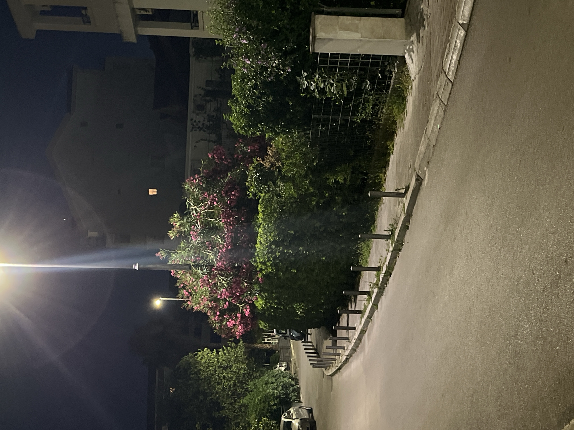 An asphalt road curves to the left at night in an urban setting, illuminated by a bright street lamp overhead. On the right side of the road, a sidewalk is lined with metal bollards and a hedge with pink flowers. Beyond the hedge is a metal fence and a building. On the left side of the road, parked cars are visible near more trees and hedges. The background shows buildings, one with a single illuminated window.