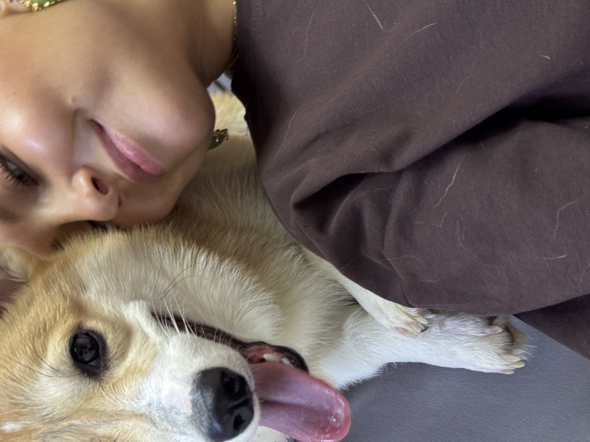 The image is a close-up shot of a fair-skinned person lying on top of a corgi dog. The person's face is visible, showing part of their forehead, eye, nose, and lips. They appear to be wearing a green and gold necklace. They are wearing a brown garment. The corgi is lying on its side, with its mouth open and tongue hanging out. The dog's fur is primarily tan and white, with a black nose and dark eyes. The background is a solid gray surface. The photograph appears to have been taken indoors in an unknown location, not necessarily in Chaikovsky, Russia.