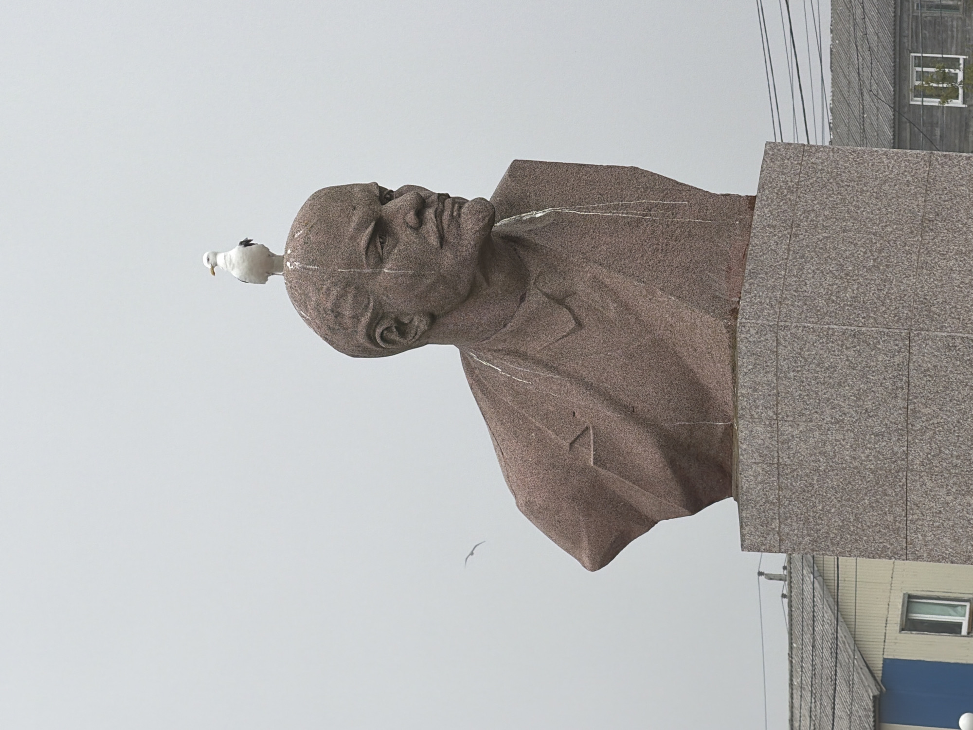 A granite bust of Vladimir Lenin stands on a granite pedestal in Yuzhno-Kurilsk, Russia. A seagull is perched on the head of the statue. The sky is overcast and hazy. In the background, there are several low-rise buildings with corrugated metal roofs and power lines. The statue is weathered and has white streaks running down its face and chest, likely from bird droppings.