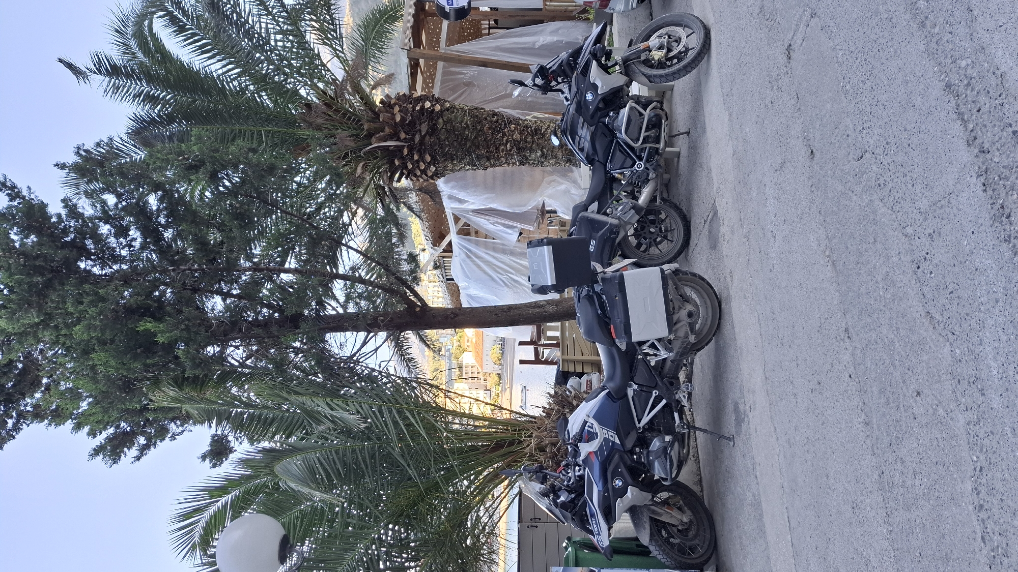 The image shows two BMW GS motorcycles parked on a paved surface next to a palm tree and another type of tree. The location is Boreti, Montenegro, as suggested by the background featuring buildings and water in the distance. The motorcycles appear to be adventure touring models with panniers. A covered outdoor seating area is visible behind the motorcycles. A street lamp is in the foreground. The weather appears to be clear.