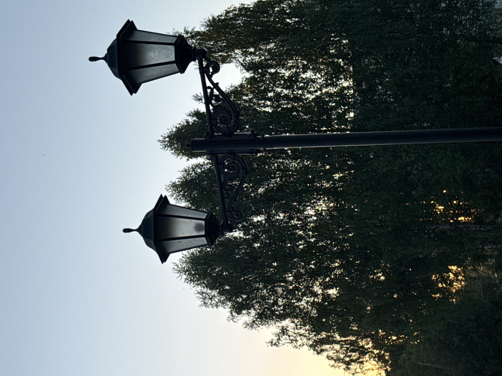The image shows a black, double-lamp street light against a backdrop of green trees and a pale blue sky. The lamp fixture has an ornate design. The base of the trees and the sky indicates a sunset. It is located in Chaikovsky, Russia.