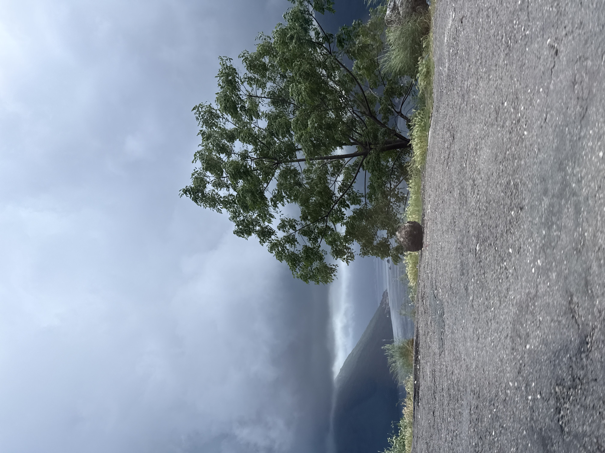 The image depicts a scene near Lipci, Montenegro, marked by a stormy sky and prominent natural features. A tree stands beside a weathered asphalt road. Beyond the road and tree, a mountain slope rises, partially obscured by a vertical column of rain or mist. The sky is overcast with dark, heavy clouds, suggesting a recent or ongoing rain event. The overall composition is slightly tilted, creating an off-kilter perspective.