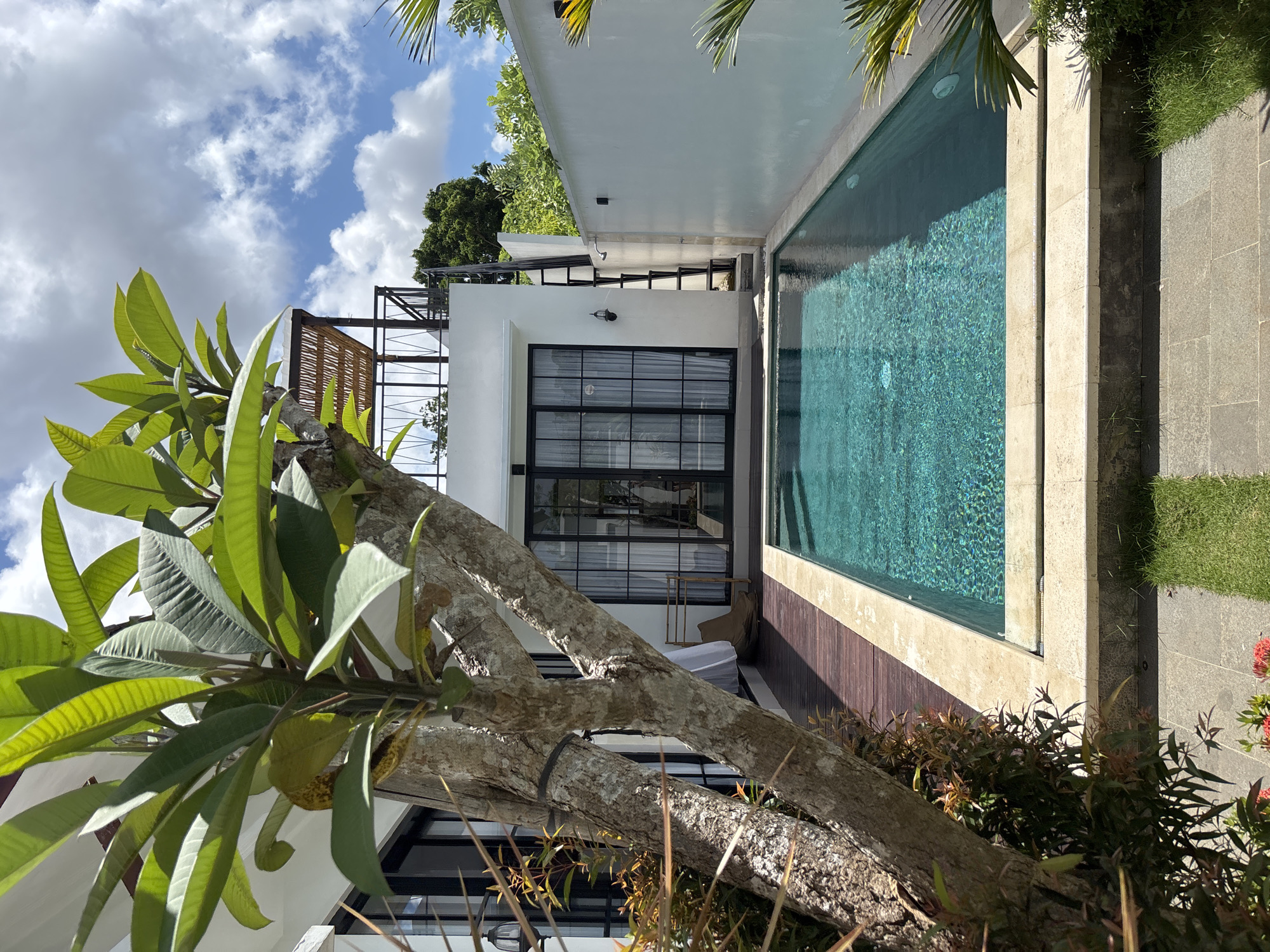 The image shows a building with a pool in Ungasan, Indonesia. A plumeria tree with large green leaves dominates the foreground, partially obscuring the view of the building. The building features a white exterior with black framed windows. Adjacent to the building is a rectangular swimming pool with greenish-blue water. The pool is surrounded by stone and a wooden deck. The sky is visible in the background, featuring a combination of blue sky and scattered white clouds. The orientation of the picture has been rotated on its side, making it difficult to discern the true vertical perspective.