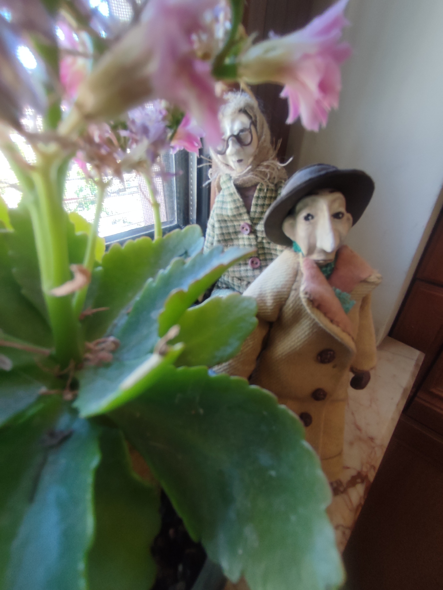The image presents a close-up of a plant with pink and purple flowers. Behind the plant are two dolls positioned on a marble surface. The foreground is dominated by the plant's large green leaves. The first doll is a female figure dressed in a checkered jacket, a headscarf, and eyeglasses. The second doll is a male figure wearing a brown hat and a tan coat with brown buttons. There is a window with a screen visible in the background. Based solely on the image, there is no information to confirm the location is Yerevan, Armenia.