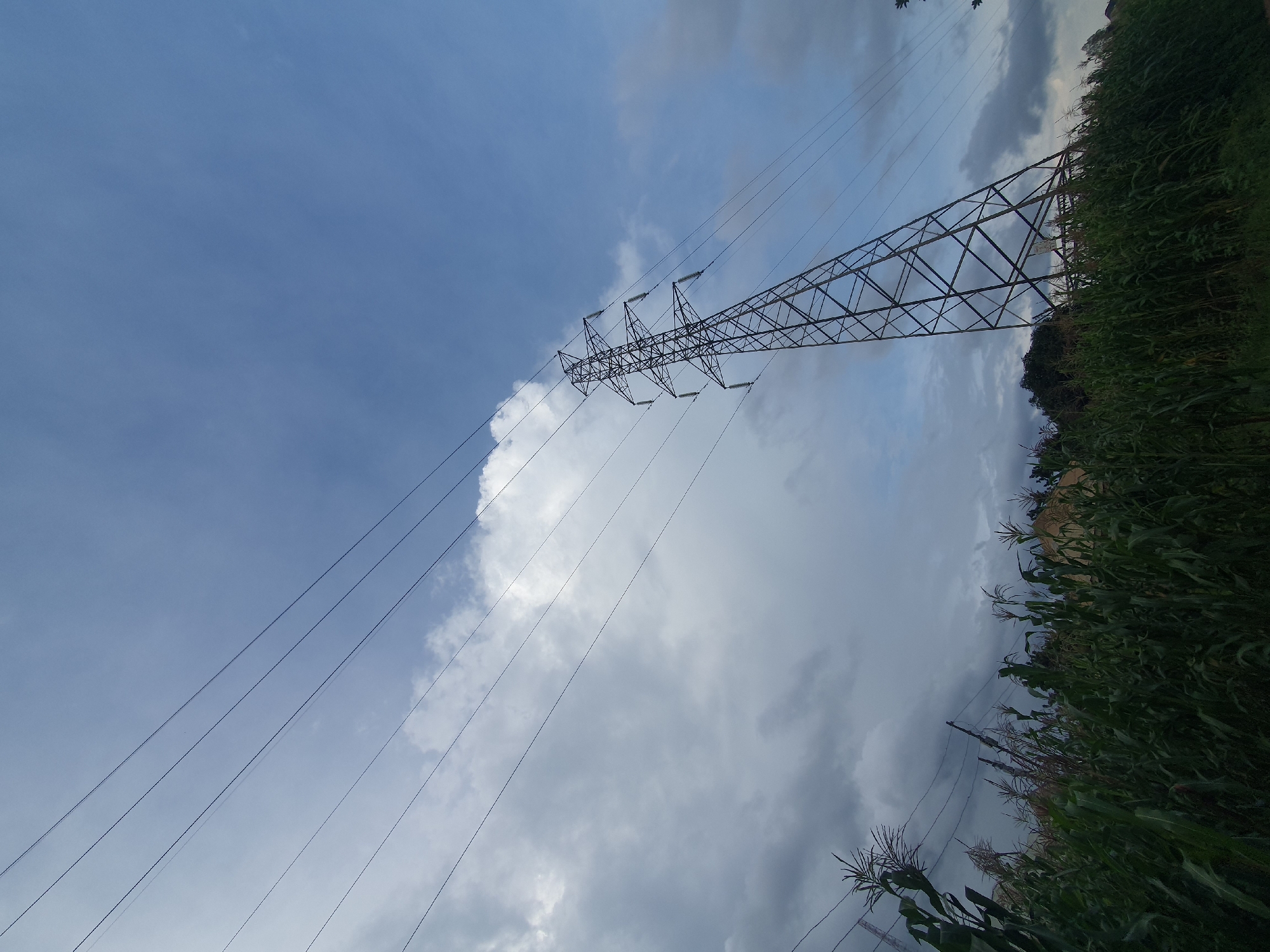 A low-angle, wide shot captures a power line tower in Gura Top, Nigeria, set against a dramatic sky with both bright blue patches and dark, swirling clouds. The tower, a lattice structure of metal, stands prominently on the right side of the frame, its lines receding into the distance. Several parallel power lines stretch across the upper portion of the image, disappearing towards the left. In the foreground, a dense field of tall, green corn stalks fills the bottom of the frame, obscuring the base of the tower and the ground. The corn plants are varied in height, with some stalks showing tassels. Behind the corn, glimpses of buildings with light-colored walls and dark roofs can be seen, suggesting a residential or rural area. The lighting indicates a time of day with dynamic weather, possibly before or after a storm, with dramatic contrasts between light and shadow. No people are visible in the scene.