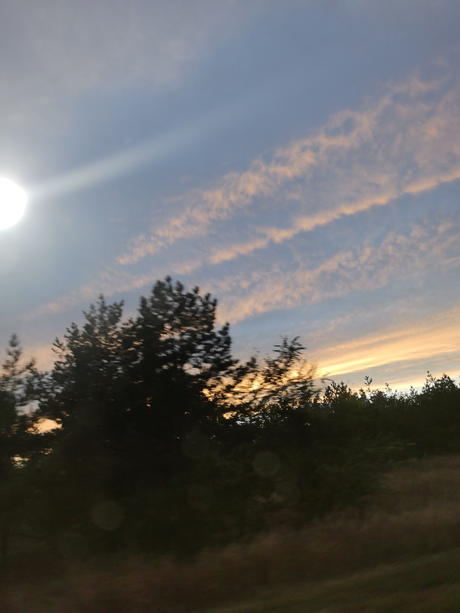 This image depicts a blurred landscape scene, likely captured during motion. The sky is a gradient of blue and orange, with streaks of clouds illuminated by the setting sun. A bright, hazy sun is visible in the upper left quadrant. Silhouetted trees form a dark line across the midground, with the tops of some pine trees more distinctly visible. The foreground consists of a blurred expanse of brown and green, suggesting grass or foliage. The overall impression is one of a twilight sky over a wooded area, with the motion blur adding a dynamic, transient quality to the image. There are no people or specific structures identifiable in the scene. The location is identified as Krasnoselovka, Russia, however, this detail cannot be verified from the visual information present in the image.