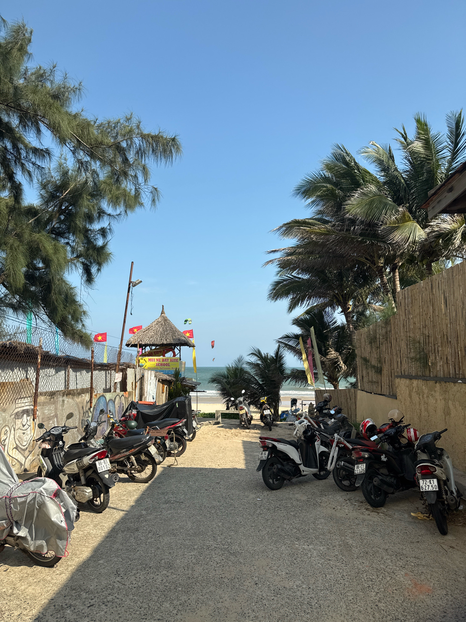 In Phan Thiết, Vietnam, a pathway leads to a beach lined with parked motorbikes. The sky is clear and blue, with a few clouds visible. To the left, a fence with graffiti and a pine tree partially obstruct the view. Beyond the fence, colorful flags and a thatched-roof structure that appears to be a kite school are visible. Palm trees dominate the right side of the image, with a bamboo fence and a building constructed from natural materials. The beach itself is sandy, with the ocean in the distance. Several kites are visible in the sky over the water, indicating kite surfing or kite boarding activities. The motorbikes are parked on the asphalt pathway and the sandy beach. One motorbike in the foreground is covered with a grey tarp. Helmets are visible on some of the parked motorbikes. The overall scene suggests a popular destination for water sports and beach activities.