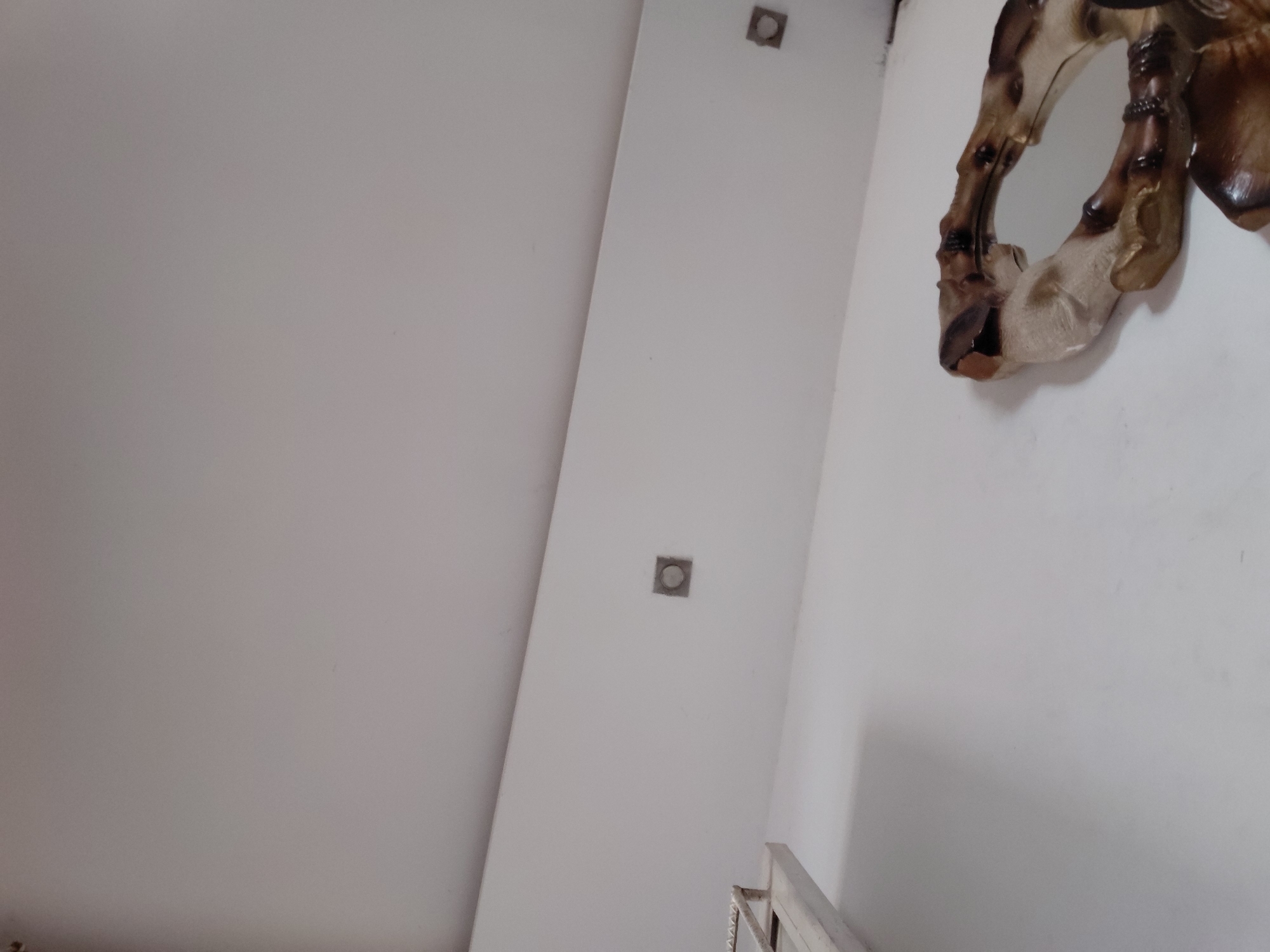 The image captures an interior scene, likely within a building in Santa Ana, Venezuela. The primary subject is a plain, light-colored wall, possibly white or off-white. A notable architectural feature is a vertical panel integrated into the wall, which houses two square-shaped recessed fixtures, appearing to be either lights or ventilation grates, with a metallic or dark finish.
Mounted on the wall to the right is a decorative object: a sculpture resembling the lower leg and hoof of an animal, possibly a horse or deer. This piece is rendered in earthy tones of brown and beige/cream, suggesting a natural material like wood or a sculpted resin. Its placement on the wall adds an artistic or rustic accent to the otherwise simple interior.
In the bottom right corner, a portion of a white handrail is visible, indicating the presence of a staircase or a balcony. The lighting suggests an indoor setting, likely relying on natural light combined with the recessed fixtures. No individuals are present in the image, and no specific activities are discernible. The overall impression is one of a clean, minimalist space with a singular decorative element. There is no visible text.