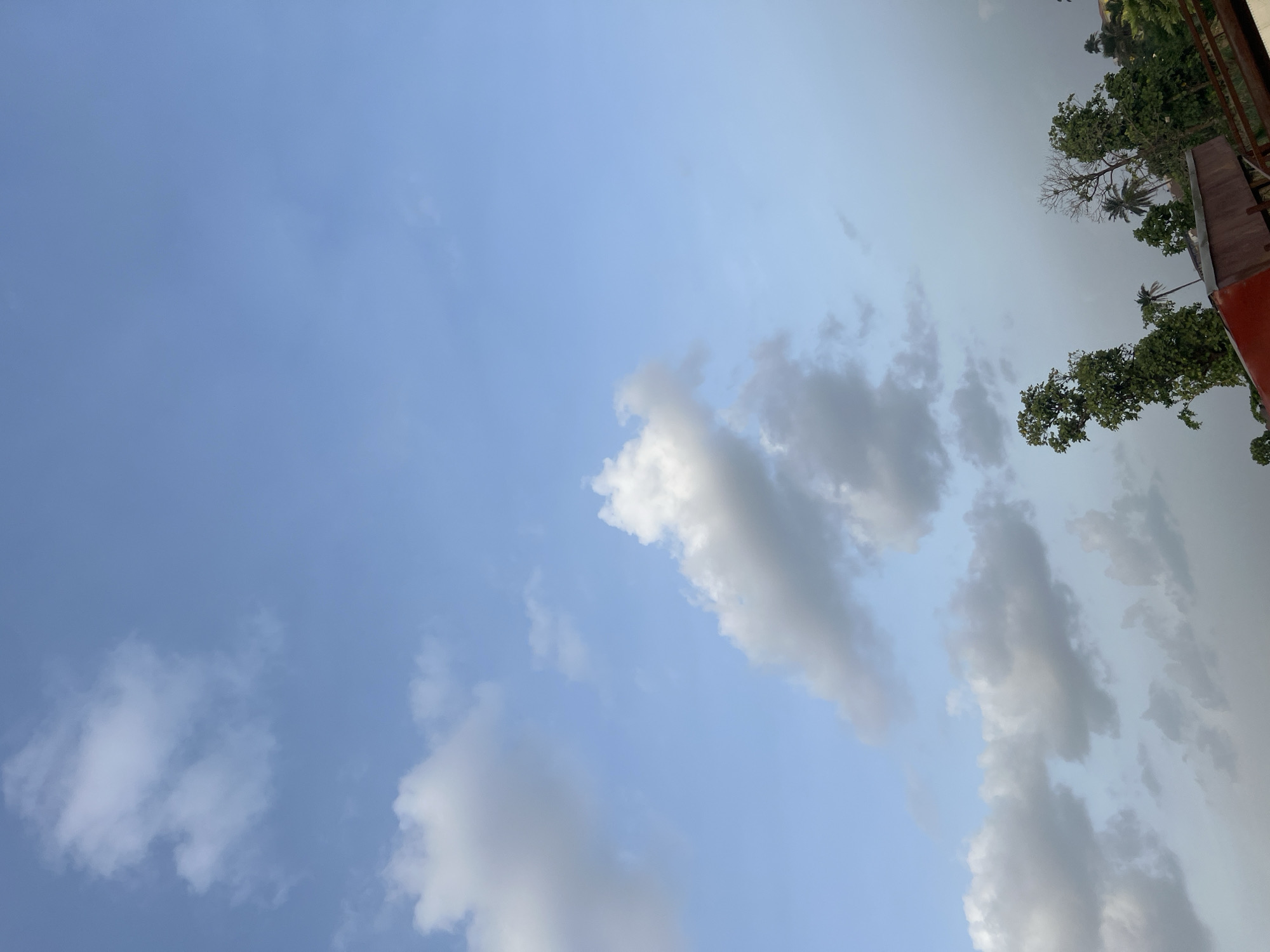 The original image, which appears rotated 90 degrees clockwise, primarily features a daytime sky with scattered clouds and glimpses of vegetation and a structure in the bottom-right portion of the frame (when oriented correctly).
The sky is a clear blue, occupying most of the upper-left and central areas. Scattered white cumulus clouds are visible throughout the blue expanse, varying in size and density. Towards the bottom-right, the clouds become denser and grayer, suggesting more significant cloud cover or varying light conditions.
Along the bottom and right edges of the frame, there is lush green foliage from several trees, including what appear to be palm trees and a deciduous tree with bare branches. These trees are silhouetted against the lighter sky and clouds. Below the trees, a reddish-brown structure, possibly part of a building's roof or wall, is partially visible.
The scene depicts a partly cloudy day. The lighting suggests it is daytime, possibly late afternoon, given the variation in cloud illumination. The location context indicates this scene is in Abuja, Nigeria. No people or visible text are present in the image.
