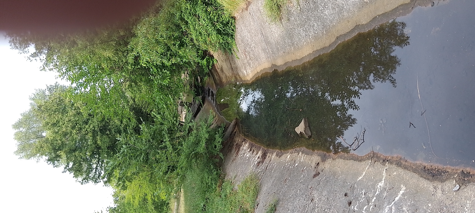 This image shows a concrete-lined channel with water flowing through it, surrounded by lush green vegetation and trees. The channel appears to be a drainage ditch or canal. The water is dark and reflects the trees and sky. There is a large rock in the middle of the water, and some fallen branches are visible. The concrete sides of the channel show some signs of wear and tear, with some dirt and debris accumulated along the edges. The overall impression is a somewhat neglected, naturalized urban waterway. The location is in Cherkasy, Ukraine, along a part of the Ros River.