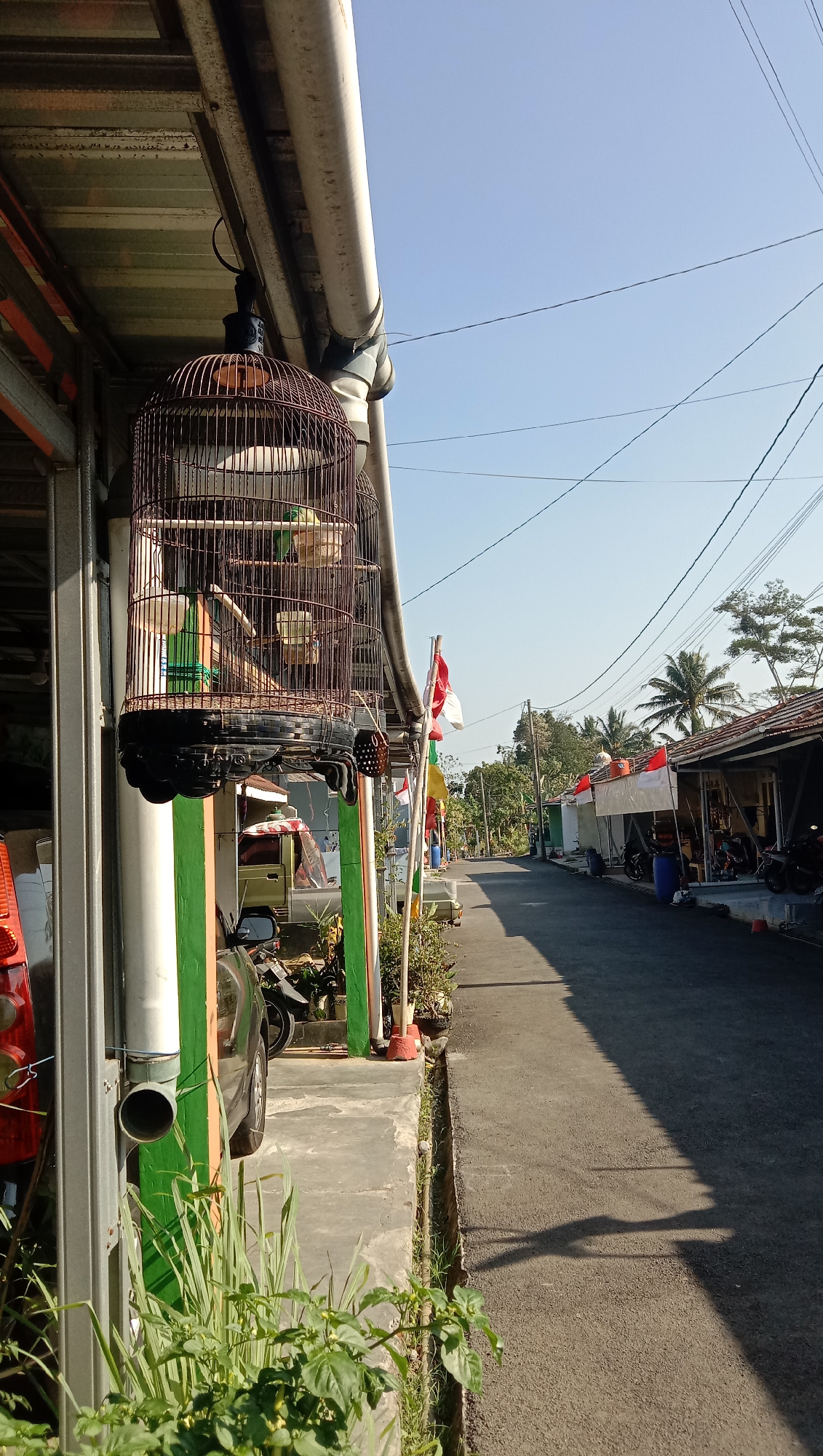 A vertical, eye-level, outdoor shot depicts a residential street in Karangmangu, Indonesia, on a bright, clear day. In the foreground, a birdcage hangs from the eave of a building, containing at least two birds. The cage is made of dark metal with a spherical top and a rectangular base. To the left of the cage, the building's gray metal structure and a white downspout are visible, painted green. In front of the building, lush green plants are growing.
The street, paved with dark asphalt, recedes into the background. To the right of the street, a row of buildings with terracotta roofs lines the road. Several Indonesian flags, red and white, are displayed along the street, attached to poles. Motorcycles are parked in front of some of the buildings. The environment is sunny, casting distinct shadows across the street. The sky is a clear, pale blue.