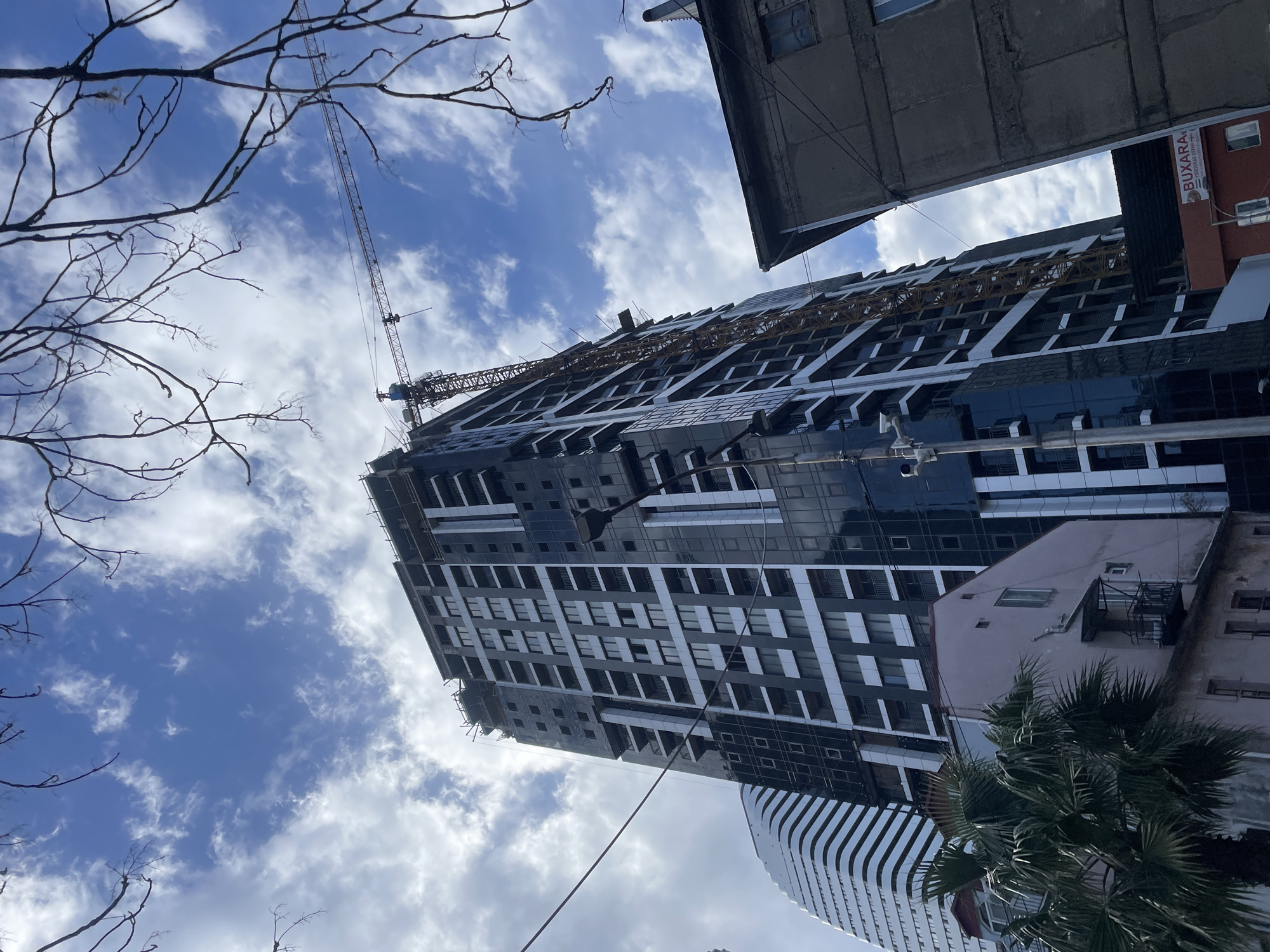 The image shows a tall, modern building under construction in Batumi, Georgia. The building has a predominantly dark facade with white horizontal elements and numerous windows. A construction crane is visible atop the building. The sky is partly cloudy with branches from bare trees in the foreground and other buildings visible in the frame. A palm tree is present in the lower right quadrant of the image.