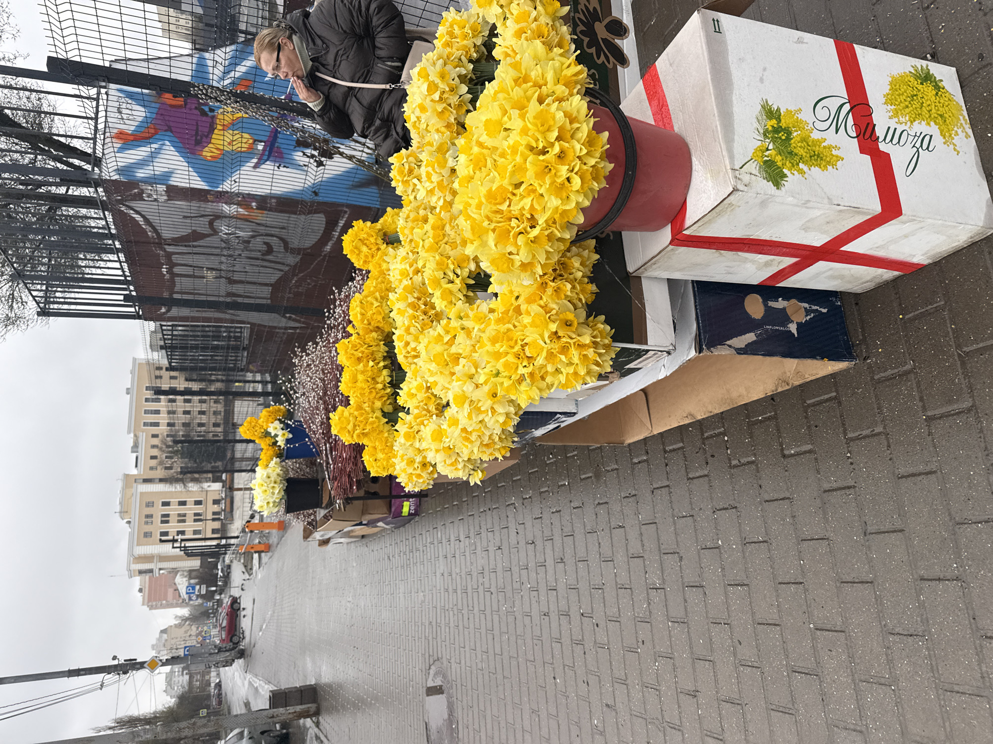 The image shows a street in Rostov-on-Don, Russia, lined with stalls selling flowers. The foreground features a large bouquet of yellow daffodils in a red bucket, placed on top of a box labeled "Mimosa" in Russian. Behind the flowers, a woman in a dark jacket is standing by a black metal fence with graffiti on the other side. In the background, buildings are visible on the other side of the street. The street is paved with grey bricks and appears wet, suggesting recent rain. Other flower arrangements can be seen further down the street.