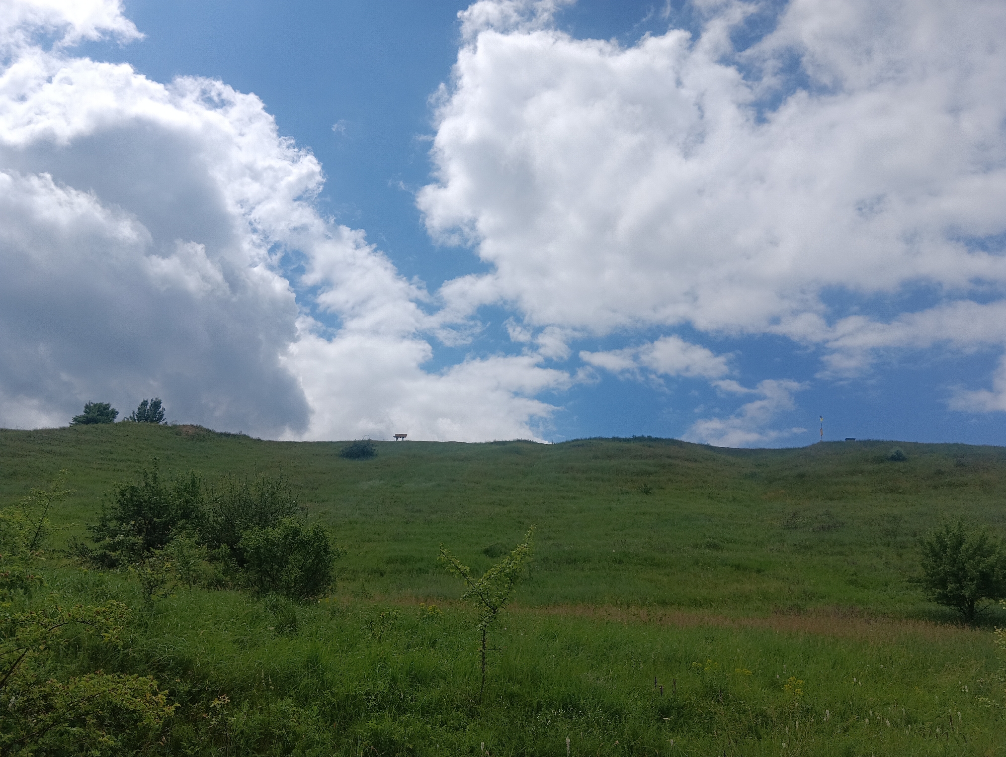 The image depicts a grassy hill under a partially cloudy sky. The foreground is filled with lush green grass and various plants, with a small tree branching out in the middle. The hill slopes upwards, dotted with patches of trees and bushes. On the crest of the hill, a solitary red bench is visible, offering a scenic viewpoint. A small antenna or marker stands to the right of the bench. The sky is a vibrant blue, with fluffy white clouds scattered across it. The overall impression is one of a serene, natural landscape.