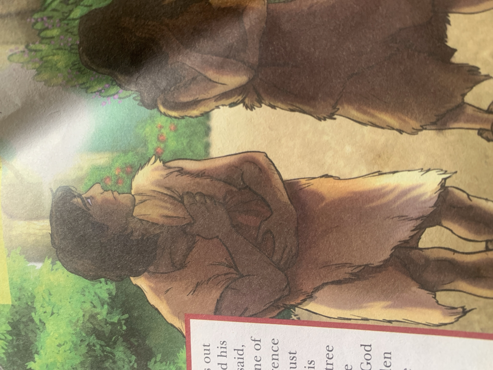 The image depicts two figures, a male and a female, in a naturalistic outdoor setting. The figures are clad in simple, rough garments that appear to be made of animal skins or similar natural materials. They are facing away from the viewer and towards each other, with their bodies angled slightly. The male figure on the left has dark hair and is looking over his shoulder with his arms clasped in front of him. The female figure on the right has long, dark hair and her arms are also crossed in front of her. The background consists of lush green foliage, trees, and small pink flowers, suggesting a garden or a wooded area. There is a soft, diffused light illuminating the scene. A portion of text is visible in the lower left corner, contained within a red bordered box, but the content is partially obscured. The overall aesthetic suggests an artistic depiction, possibly from a book or illustration. There is no information or visual cues within the image to suggest a specific location in the city of Jauro Yinu, Nigeria.