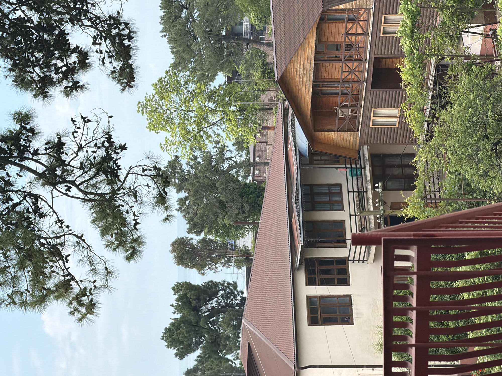 The image shows a view of several houses and trees against a cloudy sky. In the foreground, a portion of a red metal railing is visible. Behind the railing, there are two houses. The house on the left is a light-colored building with a reddish-brown roof, featuring several windows with wooden frames. The house on the right is a wooden structure with a similar reddish-brown roof, also with multiple windows and balconies with wooden railings.
Behind these houses, a variety of trees are seen, including tall, dark green conifers and a lighter green deciduous tree. In the distance, beyond the trees, a body of water, likely the sea, is visible under a pale sky with scattered clouds. The scene appears to be a residential area in a location with a significant amount of greenery. There are no people visible in the image.
