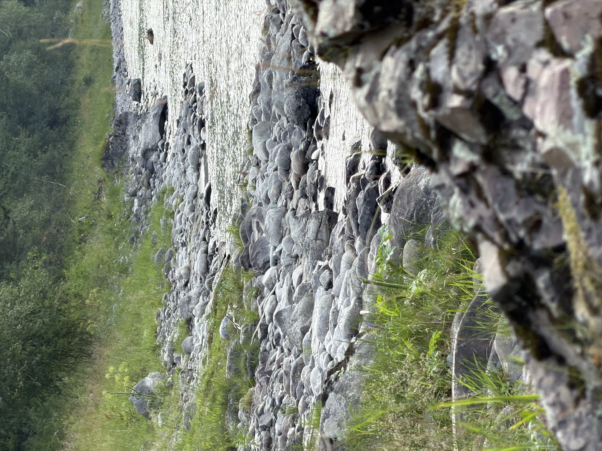 The image depicts a natural landscape at the edge of a body of water, likely a river or lake, in Anos, Russia. The foreground is dominated by large, gray, weathered rocks, with some of them out of focus, creating a sense of depth. Interspersed between the rocks are patches of green grass and vegetation, some of which appear wet. The middle ground consists of a densely packed field of smaller, smooth, gray stones, also dotted with grass. The water's edge is lined with these stones, and the water itself is characterized by shimmering reflections from the sunlight. Further back, the terrain rises into a grassy bank leading to a dense growth of green trees and foliage, forming a thick, wooded backdrop. There are no people or animals visible in the scene. The overall impression is one of a rugged, natural riverside environment.
