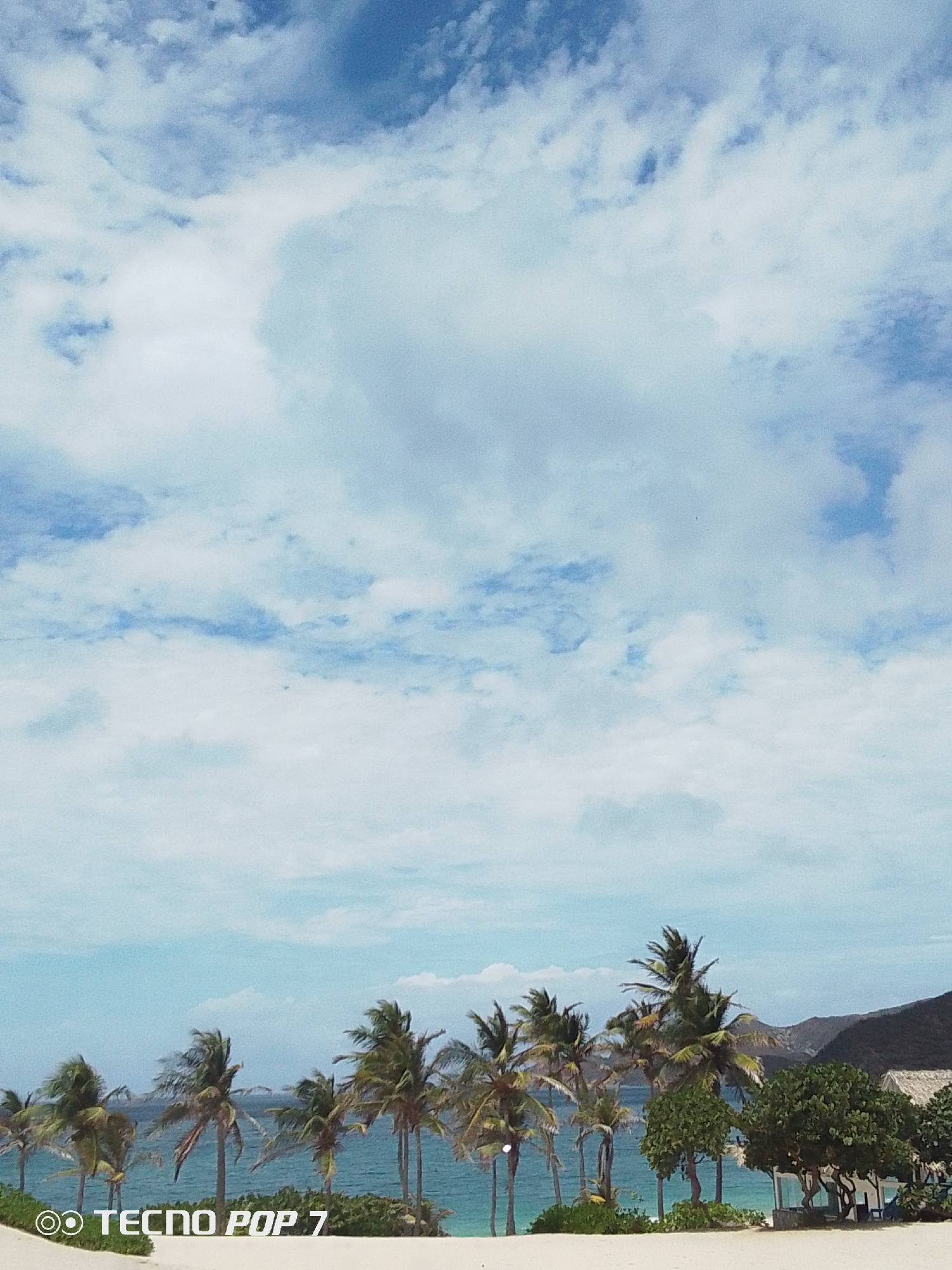 The image depicts a beach scene in Pedro González, Venezuela, showcasing a row of palm trees lining the shore, with the ocean stretching towards distant mountains. The sky is dominated by white clouds against a blue backdrop. The foreground features sand and low-lying vegetation. In the lower left corner is the watermark "TECNO POP 7."