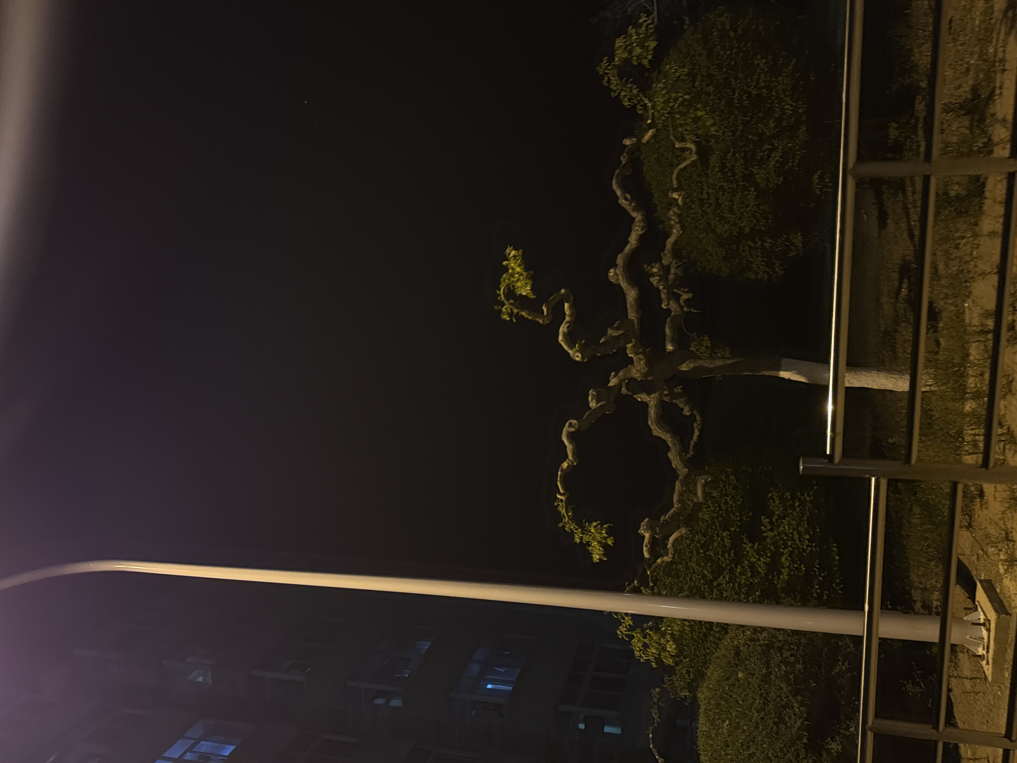 The image depicts a night scene in Zhongtun, China. A bare tree with twisting branches stands beside a building with illuminated windows. A street lamp is visible in the lower-left corner, and a metal railing is present on the right side of the frame. The environment appears to be a residential area.