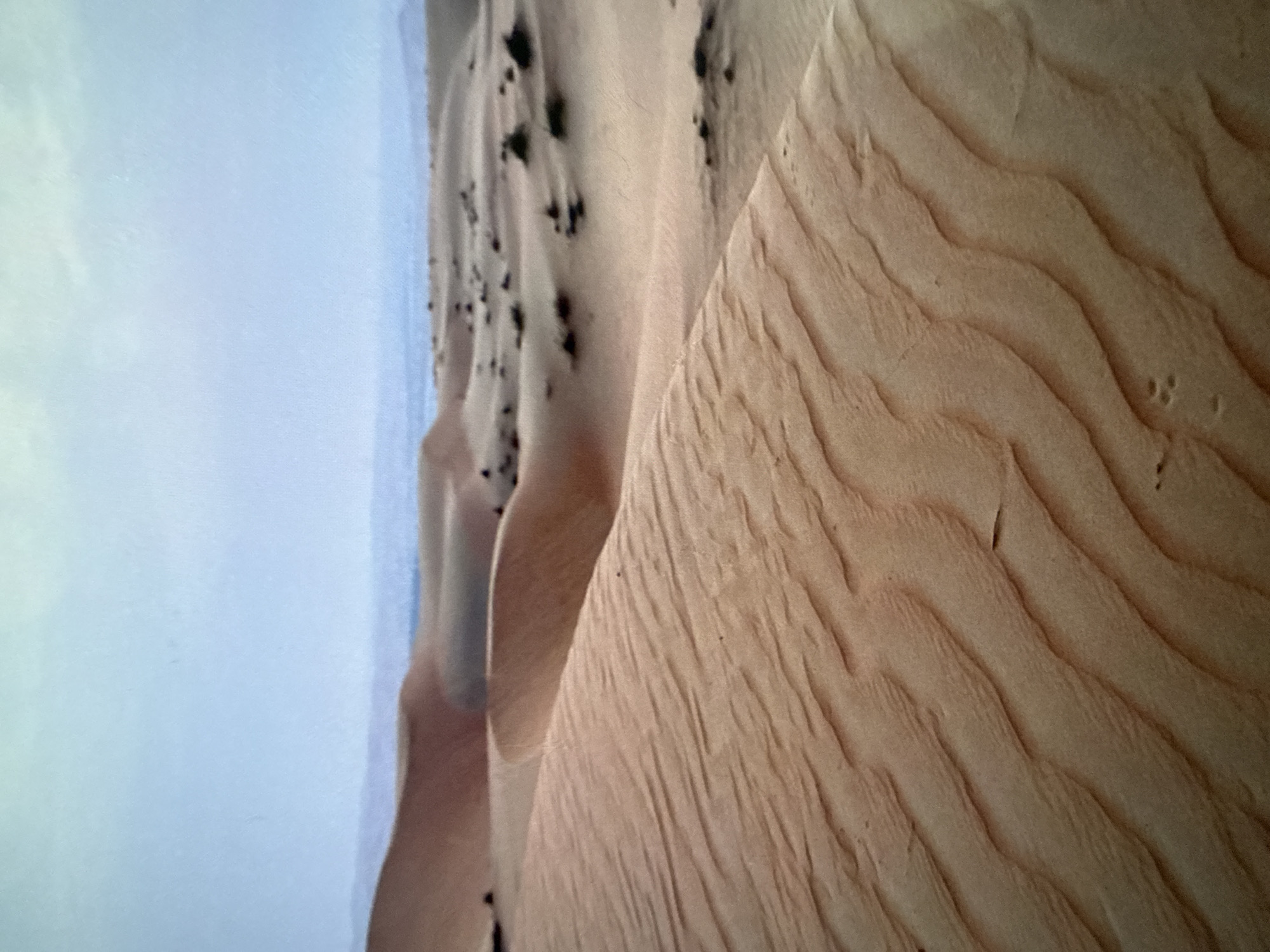 This is an image of a desert landscape with sand dunes. In the foreground, a large sand dune exhibits distinct ripple patterns created by wind. In the background, more sand dunes stretch towards the horizon, dotted with sparse vegetation. The sky is overcast and a pale blue. There are no people, animals, or structures visible in the image. The location is not Khabarovsk, Russia.