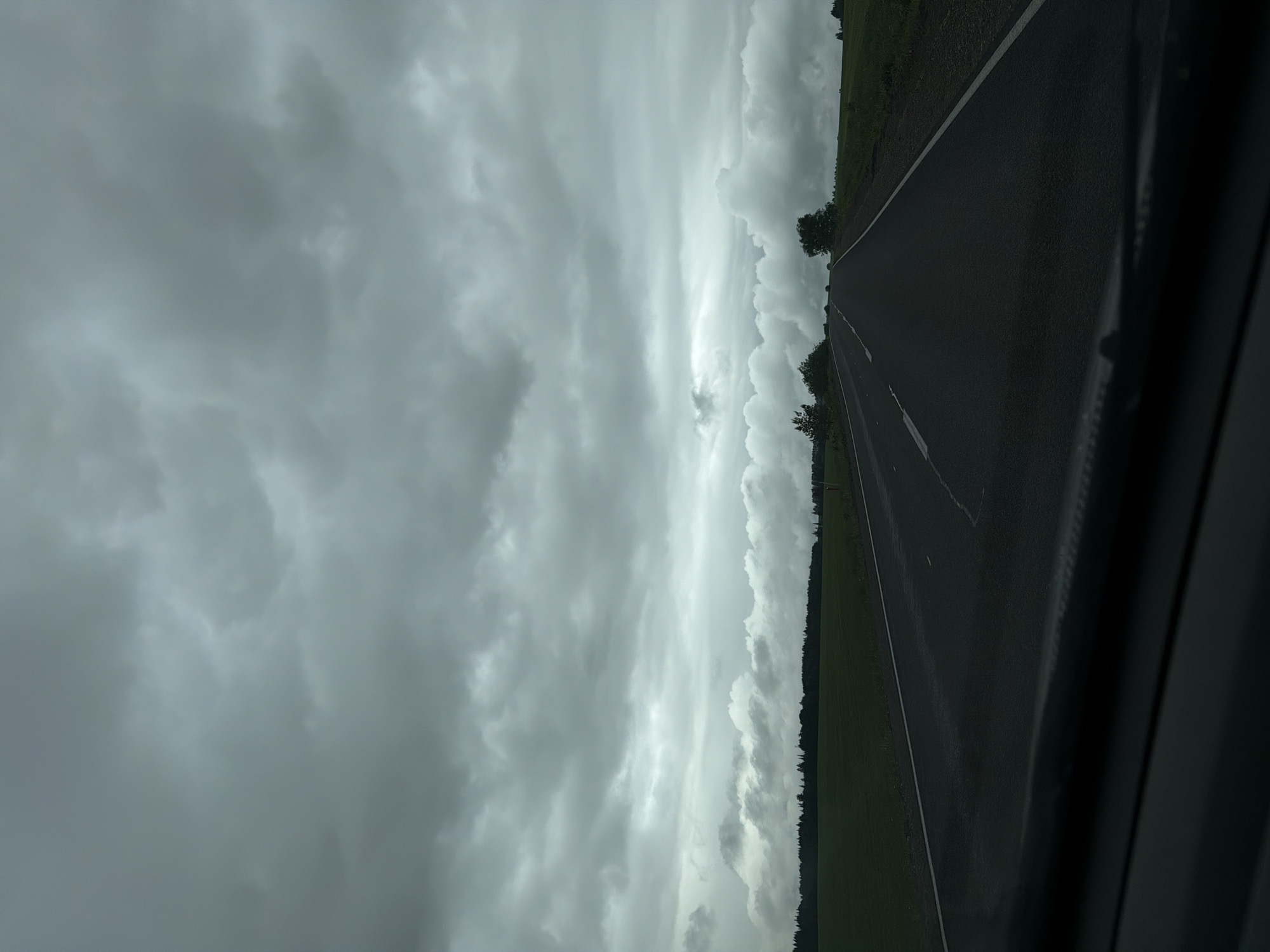 The image depicts a road in Niva, Russia, under a heavily clouded sky. The asphalt road extends into the distance, flanked by green fields and a line of trees along the right side. The left side primarily shows the overcast sky. The image is taken from inside a vehicle.