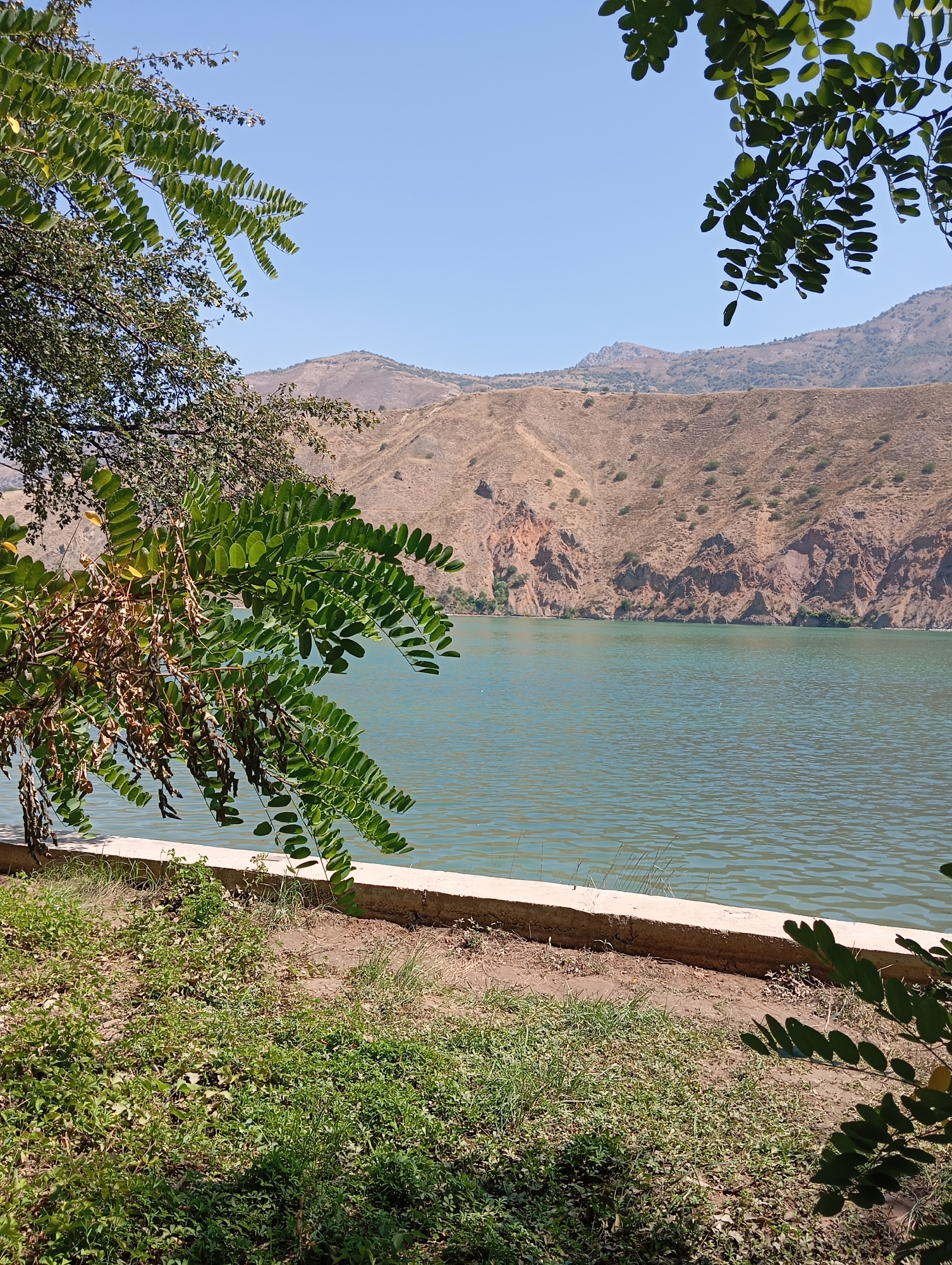 The image shows a view of a lake in Yukariyuz, Uzbekistan. The lake's water is a greenish-blue color and is calm, with slight ripples. On the opposite side of the lake, there is a large, brown, mountainous landscape. The mountains are dry and appear to be made of rock and sparse vegetation. The sky above is clear and blue. In the foreground, there is a patch of green grass and some trees with large leaves. There is also a concrete barrier or edge along the bank of the lake. The image appears to have been taken on a sunny day, with shadows visible on the ground, indicating the sun's position.