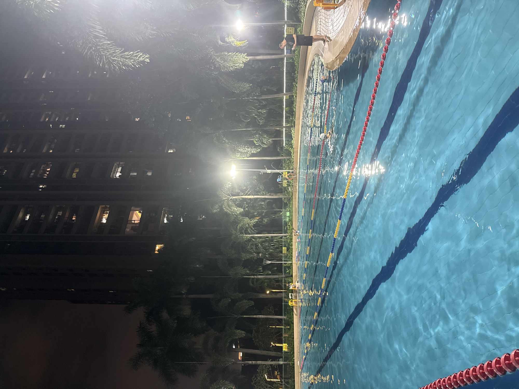 A nighttime shot captures an outdoor swimming pool in Haizhu District, China, illuminated by artificial lights. The pool features distinct lanes marked by red, yellow, and blue buoys. In the foreground, red lane ropes are visible along the edge of the pool. Several individuals are present in the water, with some swimming and others appearing to rest. On the pool deck, a man in black shorts and a dark t-shirt stands by the edge, looking at a mobile device. Behind the pool, a row of palm trees and other lush vegetation forms a backdrop, partially obscuring a tall, multi-story residential building with numerous illuminated windows. The overall atmosphere is calm and functional, suggesting a community or residential complex swimming facility.