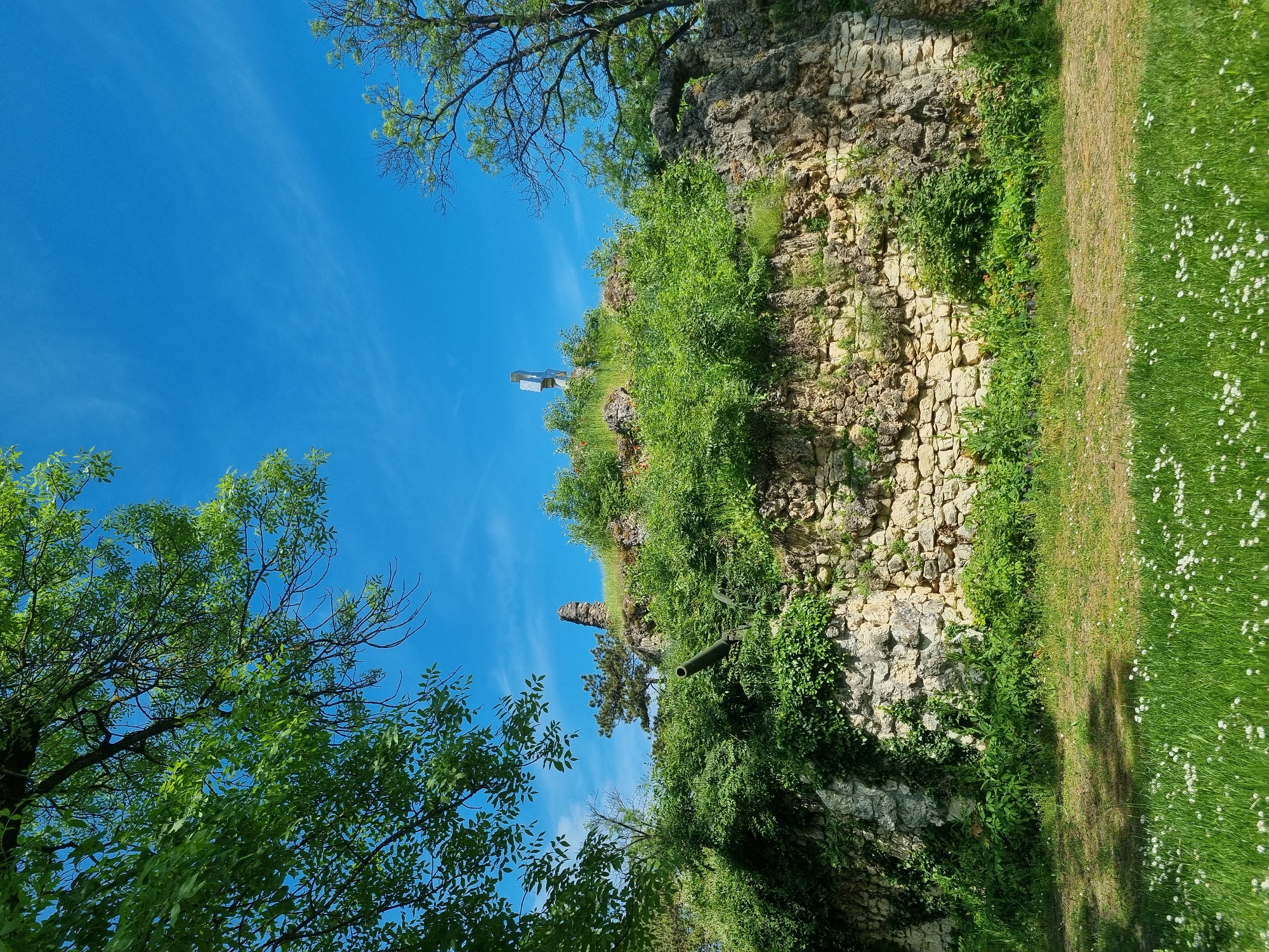 The image depicts a landscape scene featuring a stone wall overgrown with vegetation against a bright blue sky with some tree branches in the corners of the image. A grassy area dotted with white flowers is visible to the right of the wall. In the distance, there appears to be a monument with a cross atop a structure on the crest of the rocky area. There is a small pillar in the background. This is in Pleven, Bulgaria.