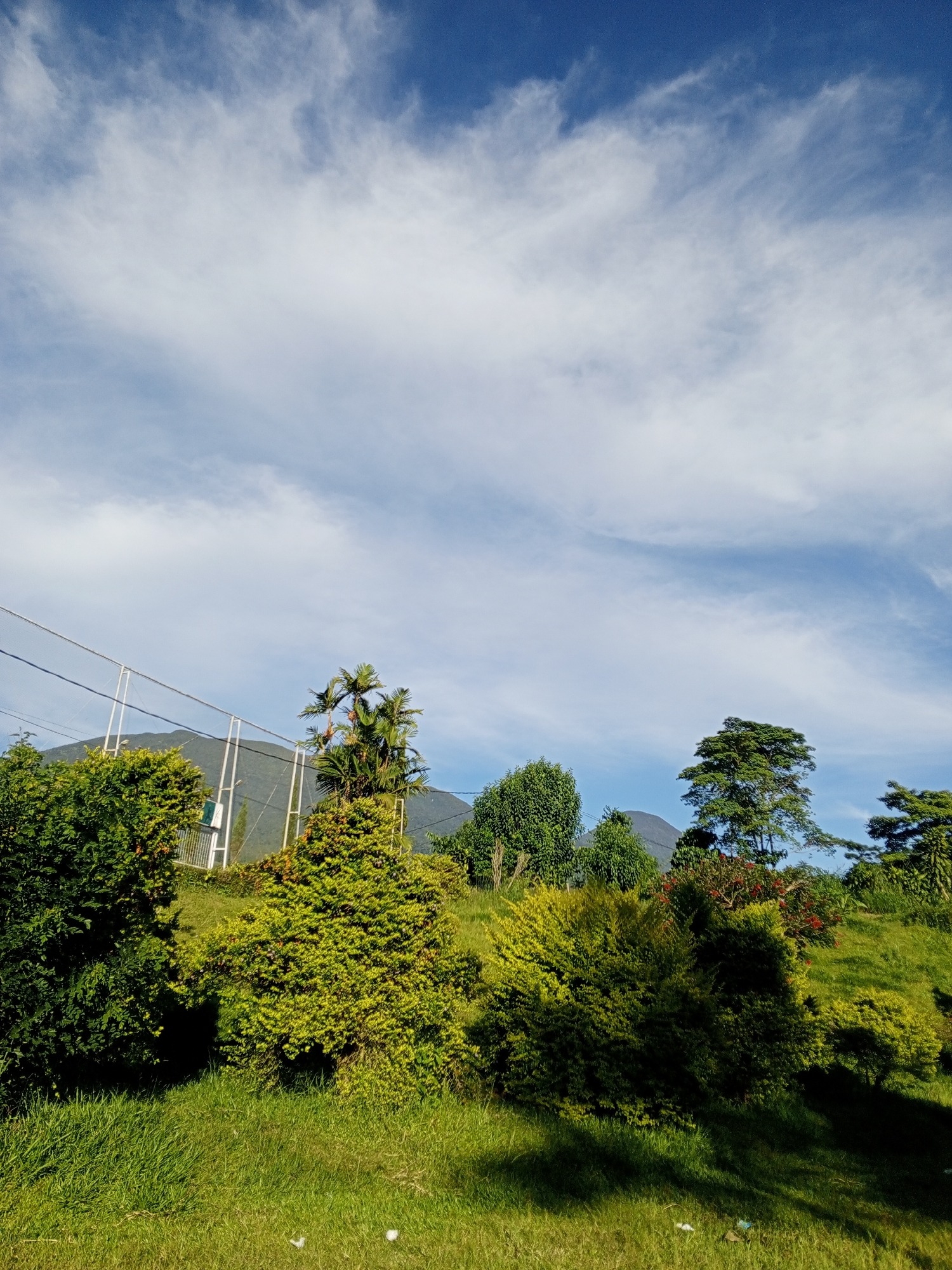 The image captures a daytime scene in Kudawa, Sri Lanka, showcasing a landscape with a vibrant green field in the foreground. Several trees and bushes of varying sizes and foliage density populate the middle ground, with some exhibiting yellowish-green hues. A wire fence and utility poles are visible on the left side, partially obscured by trees. In the background, a mountain range rises under a bright blue sky filled with scattered white clouds.
