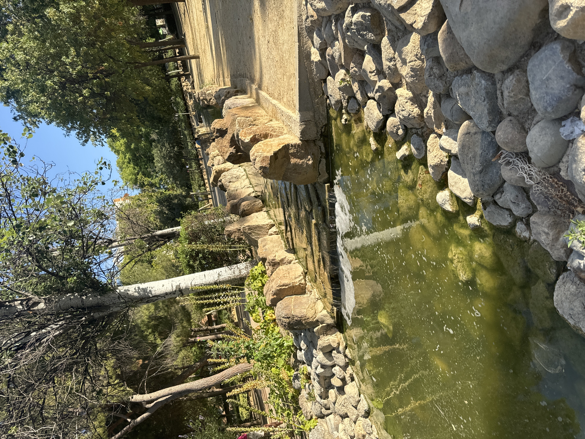 The image depicts a serene park scene, likely within the city of Murcia, Spain, characterized by a man-made stream or water feature winding through the landscape. The water is a murky green hue, with scattered foam and bubbles on its surface, suggesting a gentle flow or aeration. The banks of the stream are lined with an abundance of natural rocks and stones of varying sizes and textures, interspersed with lush green vegetation and tall, slender plants with yellow flower spikes.
On the right side of the stream, a sandy path runs parallel, shaded by a canopy of mature trees with dense green foliage. The sunlight casts dappled shadows on the path, indicating a bright, sunny day with a clear blue sky. In the background, more trees and shrubs create a verdant backdrop, and a hint of a building facade is visible through the trees, suggesting an urban park setting.
The foreground is dominated by a large collection of rounded rocks and pebbles, some smooth and grey, others rough and brownish. The water feature itself appears to have multiple small cascades or steps formed by rocks, creating a visually dynamic element. In the distance, along the stream, two individuals are seated, appearing relaxed and observing the water. One person is seated on the edge of the stream, and another is further back, partially obscured by foliage.
The overall impression is one of a well-maintained and tranquil park, offering a natural escape within an urban environment. The lighting suggests it is likely late afternoon due to the warm, angled sunlight.