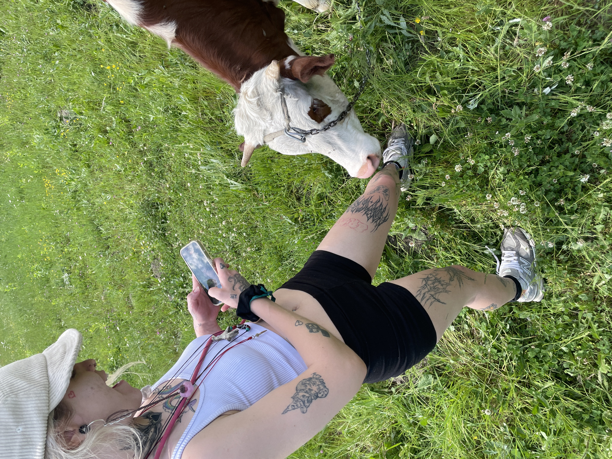 A person with tattoos is standing in a grassy field in Polja, Montenegro, holding a smartphone. A brown and white cow with a chain around its neck is grazing near the person's leg. The person is wearing a white tank top, black shorts, and grey sneakers. The environment is a bright, sunny day with green grass and white clover. The phone reflects the sky and trees, indicating the user is actively taking a photo or video. The person is facing the cow.