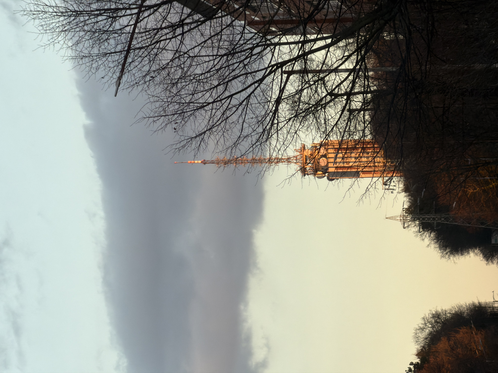The image shows the Sofia TV Tower in Bulgaria, viewed from a low angle, framed by bare tree branches. The tower is positioned to the right of the frame, its steel structure catching the light, which suggests it may be near sunset. To the left, a large, dark cloud dominates the sky. The sky is otherwise pale yellow. The background contains bare trees and possibly other infrastructure elements, but these are indistinct. There are no visible people or animals.