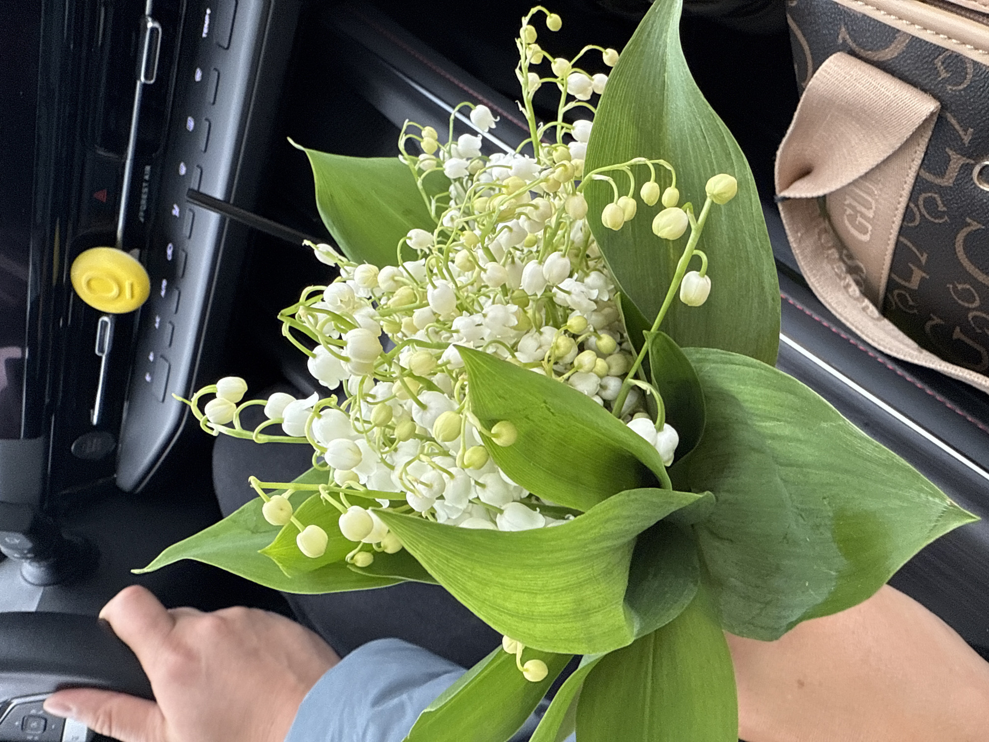 A close-up shot taken indoors shows a bouquet of lily of the valley flowers. The flowers are predominantly white, with green leaves surrounding them. Part of a car's interior is visible, including the steering wheel and dashboard, and the seat. A Guess brand purse is also visible in the upper right corner. A person's hands are visible, holding the bouquet.