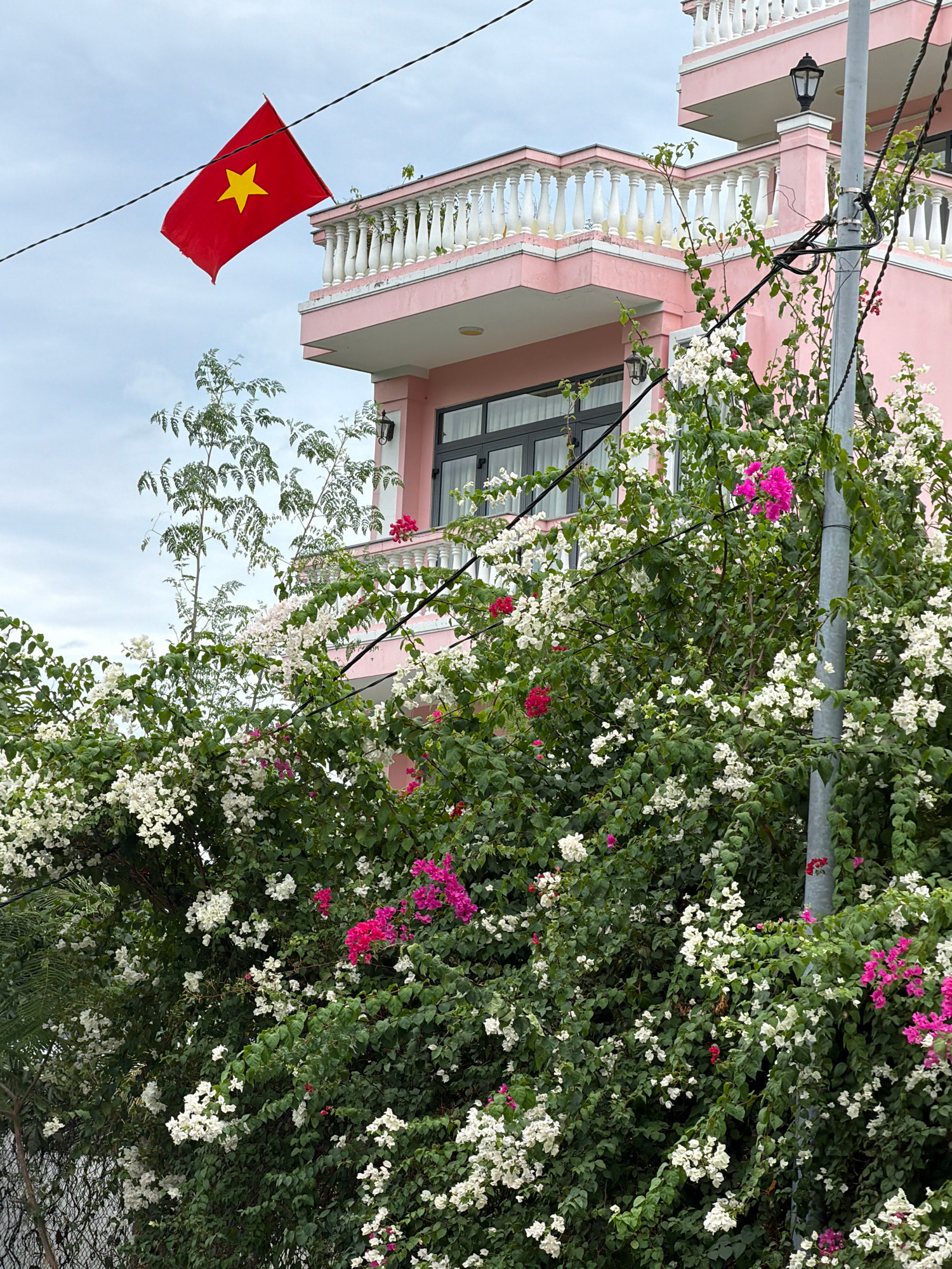 The image captures a scene in Nha Trang, Vietnam, featuring a vibrant pink building with white balustrades on its balconies, under a cloudy sky. A red Vietnamese flag with a yellow star flutters from a wire strung across the frame. Lush green foliage, abundant with white and pink bougainvillea flowers, cascades down from the balconies and around a utility pole on the right side of the image. The building has dark-framed windows and decorative outdoor lamps. The overall impression is one of tropical vibrancy against a muted sky, typical of coastal cities in Southeast Asia.