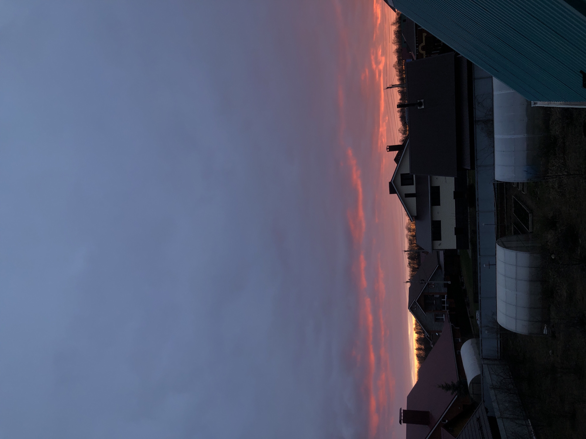 This image depicts a rural or suburban landscape under a dramatic sky, likely at sunset or sunrise, in Noviy, Russia. The scene is dominated by the sky, which transitions from a soft, muted blue-grey and purple in the upper portion to striking horizontal bands of vibrant orange, pink, and red clouds near the horizon.
In the lower part of the frame, several buildings and structures are visible. A prominent feature in the foreground (when correctly oriented) is the dark teal corrugated roof of a building, possibly part of the property from which the photo was taken. Further back, multiple houses with dark roofs (some charcoal grey, others reddish-brown) and light-colored walls (ranging from white to light beige) are spread across the landscape. Interspersed among the homes are several white, translucent tunnel-like structures, which appear to be greenhouses or polytunnels.
A dark, silhouetted line of bare trees marks the distant horizon, suggesting a cooler season like late autumn or winter. Faint utility poles or power lines can be seen against the illuminated sky near the tree line. The ground and immediate surroundings of the houses are dark, indicating low light conditions. There are no people visible, and no specific activities are taking place. The overall mood is serene, emphasizing the natural beauty of the colorful sky against the quiet backdrop of a village or town. No text is visible in the image.