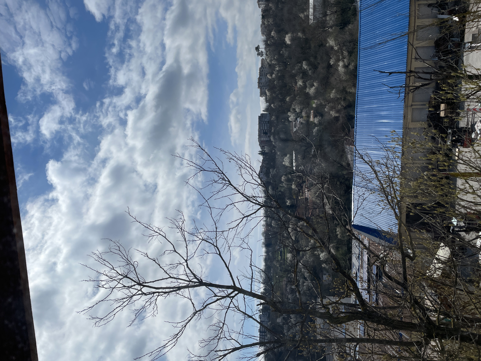 The image shows a view from a high vantage point in Veliko Tarnovo, Bulgaria. In the foreground, there are bare tree branches against a partly cloudy sky. In the mid-ground, there is a hillside dotted with buildings. A blue corrugated metal roof is visible in the right side of the image, indicating an industrial or commercial building. The background is a mix of sky and the landscape of Veliko Tarnovo, including buildings and trees. The lighting suggests it is daytime. No people are visible in the shot.