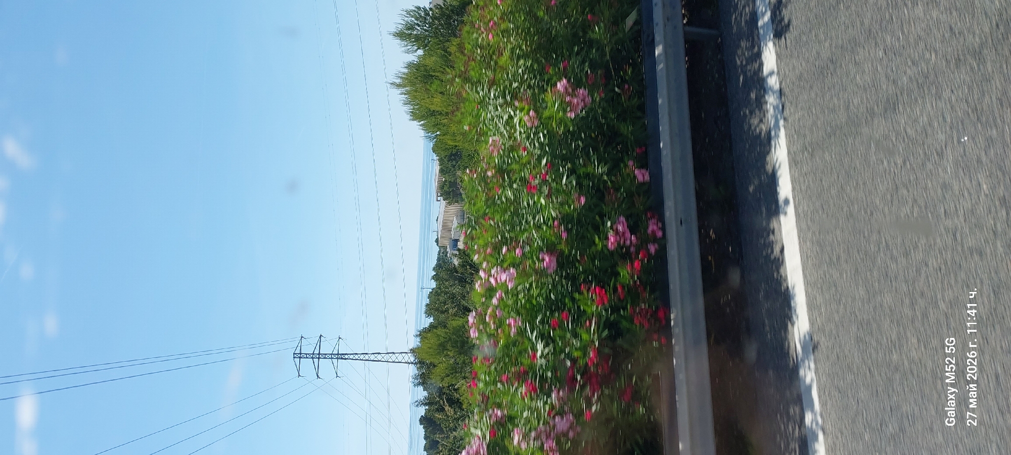 The image depicts a roadside scene in Vandellòs i l'Hospitalet de l'Infant, Spain. A paved road runs along the right side, marked with a white line. To the left of the road is a metal guardrail, beyond which lies a dense growth of greenery interspersed with pink and red flowers. Further in the background, an electricity pylon stands against a clear blue sky. Power lines stretch across the sky. Buildings and the sea are vaguely visible in the distance. The image was taken with a Galaxy M52 5G on May 27, 2026, at 11:41.