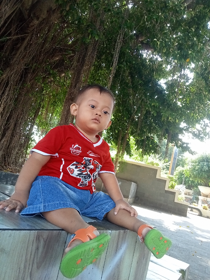 Memory
