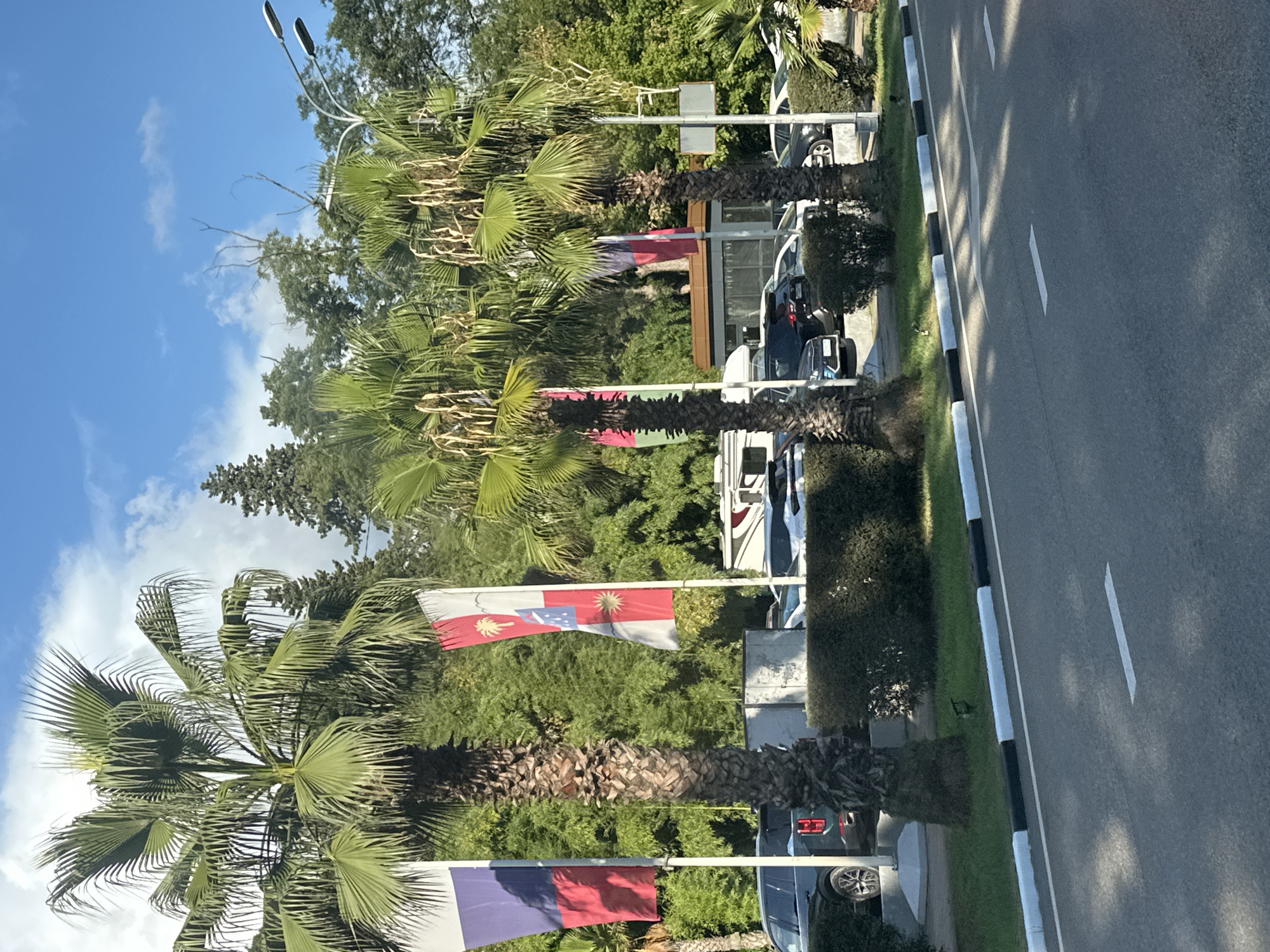 The image shows a street scene in Sochi, Russia, on a sunny day. Several palm trees are prominent in the foreground, with flags displayed on poles next to them. One flag on the left appears to be the Russian flag, with white, blue, and red stripes. Another flag on the right is red and white with some emblems. Behind the palm trees, a row of parked cars is visible, including a dark SUV on the left and several other vehicles. Beyond the cars, there is lush green foliage and trees, suggesting a park-like or tropical environment. A street light is visible in the upper right corner. The road in the foreground has white lane markings and a black and white curb. The sky is blue with some scattered clouds. There are no people clearly visible in the image.