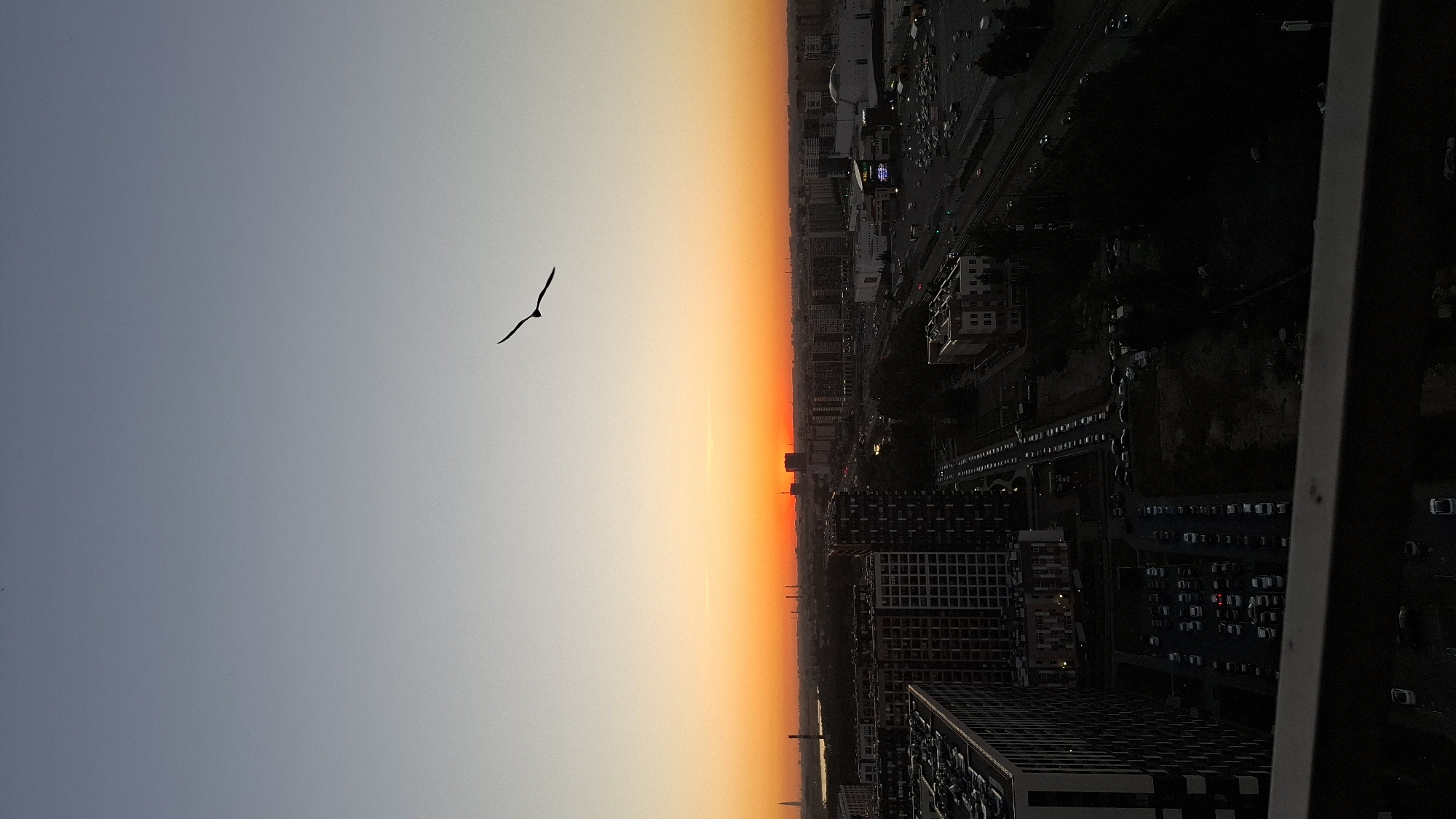 An aerial shot captures a city skyline at dusk, with a single bird in silhouette soaring across the gradient of the sky. The sky transitions from a pale blue at the top to a vibrant orange near the horizon, where the sun is setting. Below, a densely packed urban landscape unfolds, characterized by apartment buildings of various heights and architectural styles. A wide expanse of parked cars fills multiple lots, indicating a residential or commercial area. Roads with sparse vehicle traffic weave through the cityscape. The foreground is dominated by the edge of a balcony railing, suggesting the viewpoint is from a high-rise building. The overall impression is one of a bustling city at the end of the day, bathed in the soft glow of twilight. The presence of the bird adds a natural element to the urban setting.