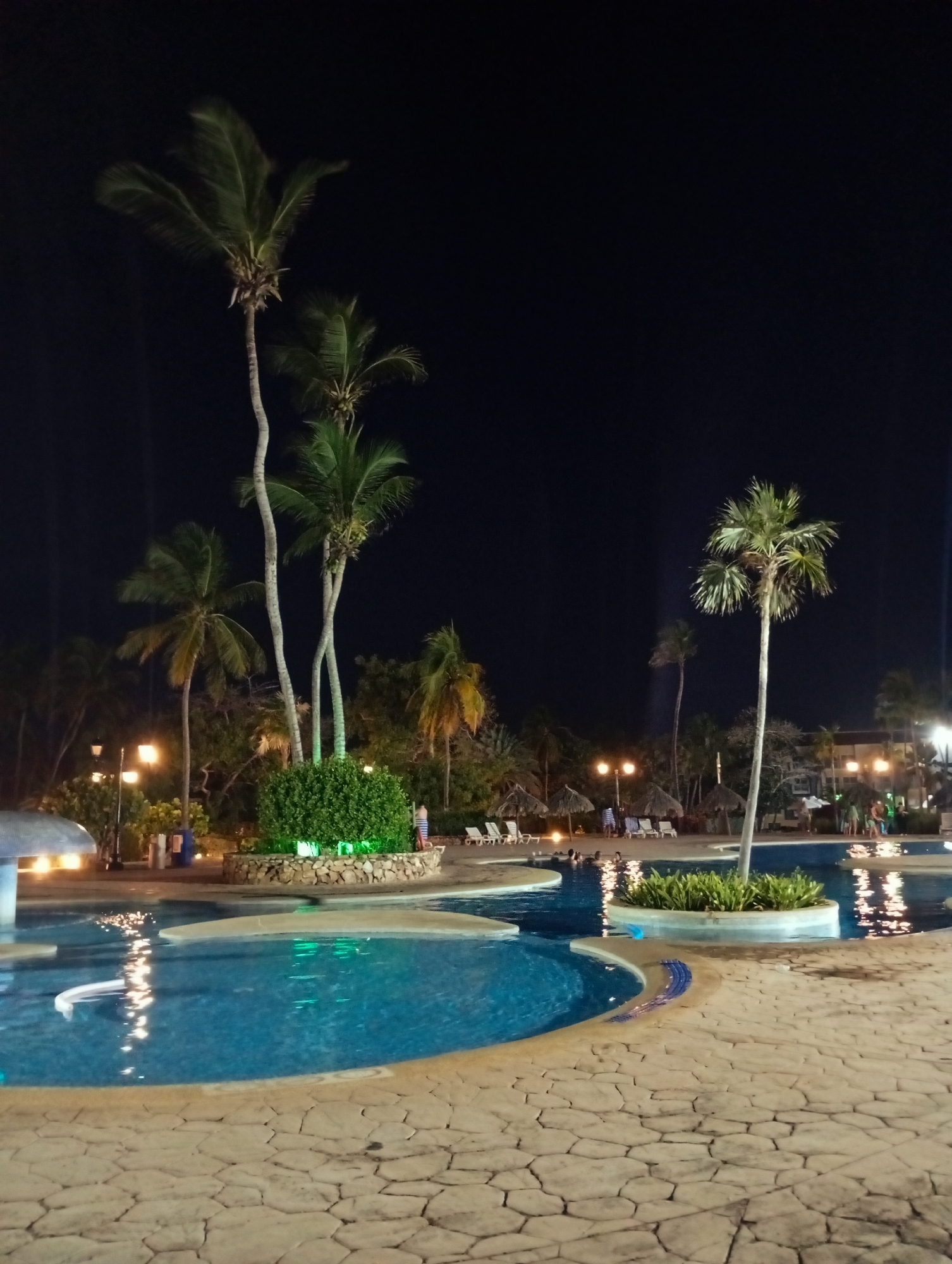 This is a nighttime outdoor scene in what appears to be a resort at Playa El Agua, Venezuela. The foreground is dominated by a swimming pool with turquoise water, reflecting ambient light sources, surrounded by light-colored stone paving. Several palm trees of varying heights are scattered around the pool area, some directly emerging from islands within the pool. In the background, there are other structures suggesting a resort complex, including thatched umbrellas, lounge chairs, and people either in or around the pool and adjacent areas. Soft lights illuminate the surroundings, casting reflections on the water and creating a sense of tranquility. The sky is dark and clear. There is at least one pool tube in the water and a landscaped rock garden next to the pool. Some people are standing and walking around the area.