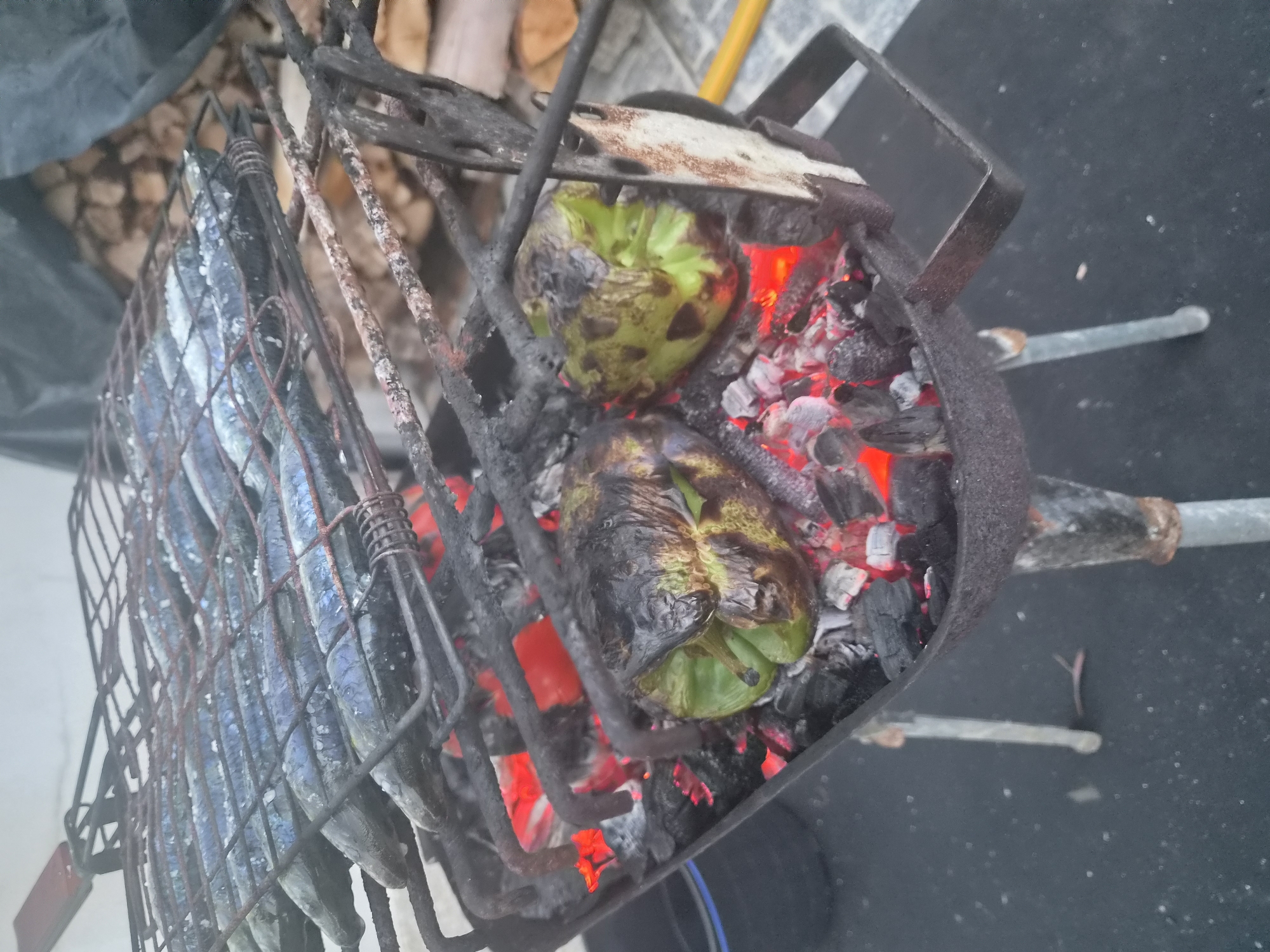 In Barcelos, Portugal, a close-up, eye-level shot captures a charcoal grill with food cooking. On the upper rack, a row of whole, small fish, likely sardines, are seasoned with salt and grilling over hot coals. Below them, two green bell peppers, charred and softened from the heat, rest directly on the glowing embers. The grill itself is made of dark metal, showing signs of use and rust, with two legs visible supporting it. The background is blurred, suggesting an outdoor setting, with hints of a tarp and stacked firewood. The scene is focused on the cooking process, highlighting the textures and colors of the food and the intense heat of the grill.