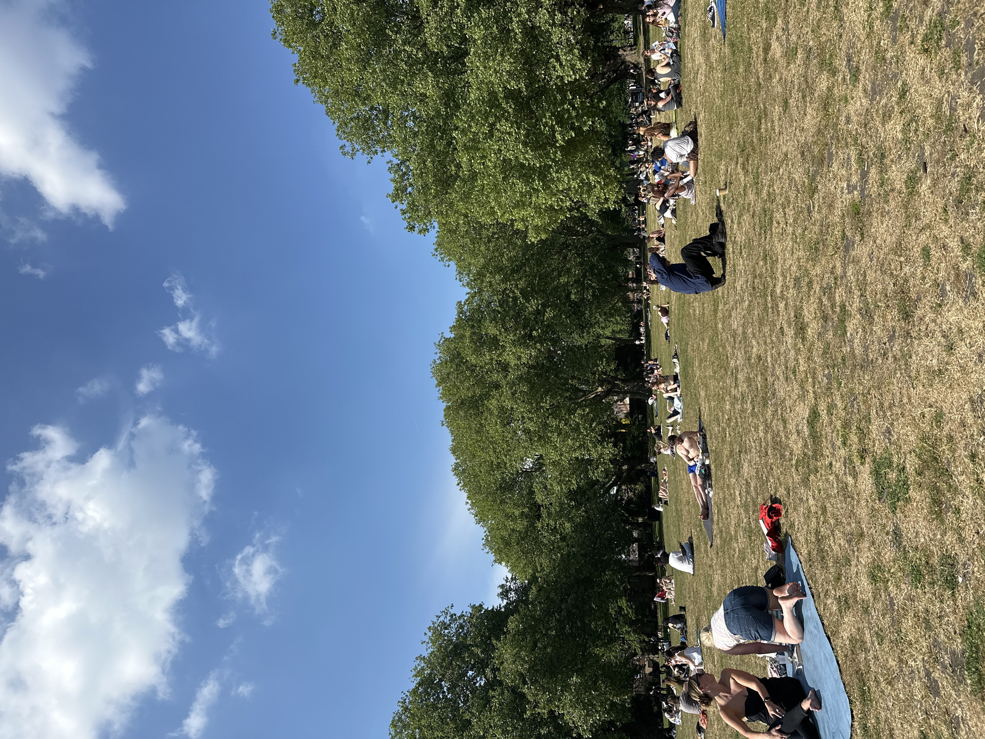 The image depicts a grassy area in a park in London, United Kingdom, with a crowd of people relaxing and sunbathing. A line of trees runs along the center of the shot, separating the open grassy space from the sky. The sky is bright blue with scattered white clouds. The grass is predominantly dry and yellowish-brown, with patches of green. People are scattered across the grass, some lying down on blankets or mats, and others sitting. A few individuals appear to be socializing or using electronic devices. The overall impression is a sunny, relaxed atmosphere in a public park.