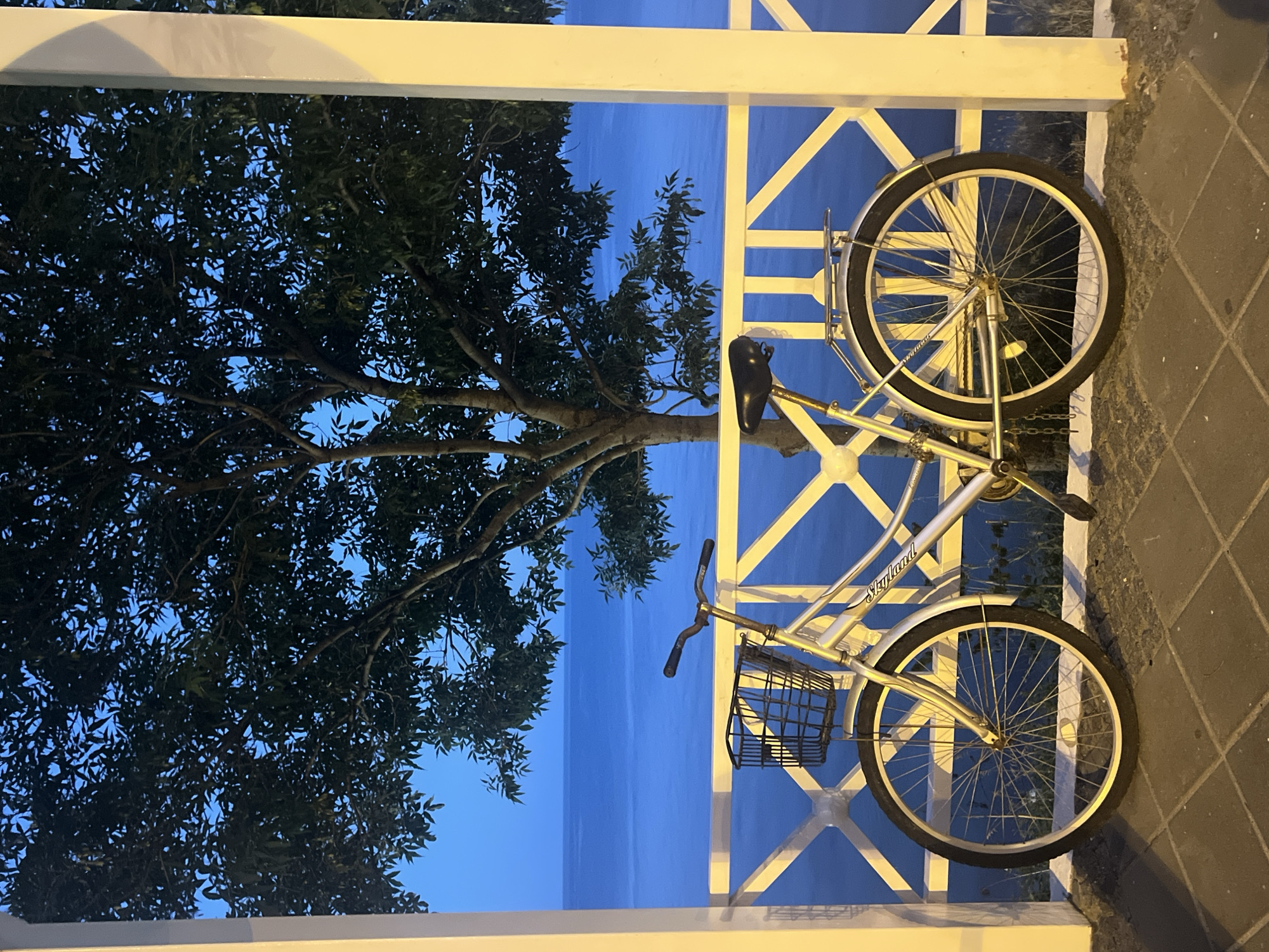 An outdoor, eye-level, medium shot captures a vintage silver bicycle parked on a cobblestone walkway in Odesa, Ukraine. The bicycle is positioned in front of a white railing and a large tree with dark green leaves. Beyond the railing, a vast expanse of deep blue water stretches to the horizon under a clear, dark blue sky. The scene is illuminated by warm, artificial light from an unseen source, casting shadows on the walkway and highlighting the bicycle. The bicycle features a black wire basket attached to its handlebars, a black seat, and a silver frame. A small inscription on the bicycle's frame reads "Skyland." The overall atmosphere is serene and peaceful, with the calm water and twilight sky suggesting the late evening.