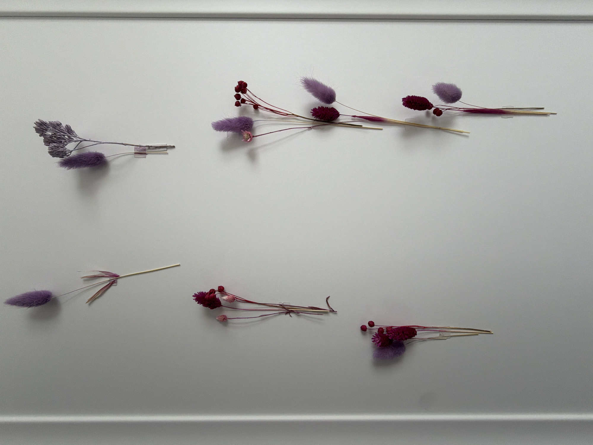The image presents a minimalist decorative display of dried botanicals against a plain, light-colored wall in an interior setting, located in Moscow, Russia. Several distinct groupings of dried flowers, primarily in hues of purple, maroon, and dark red, are arranged horizontally across the wall. The botanicals include fluffy, oval-shaped elements resembling bunny tail grass, small berry-like clusters, and delicate, branched floral structures. Each grouping is subtly attached to the wall using small, clear pieces of tape or adhesive, which are visible. The wall surface is uniformly light gray or off-white, framed at the top and bottom by a simple, light-colored molding or trim. The lighting is soft and even, typical of an indoor environment, creating no harsh shadows. There are no people, discernible activities, or visible text within the frame. The scene is static, focusing solely on the aesthetic arrangement of the dried floral elements.