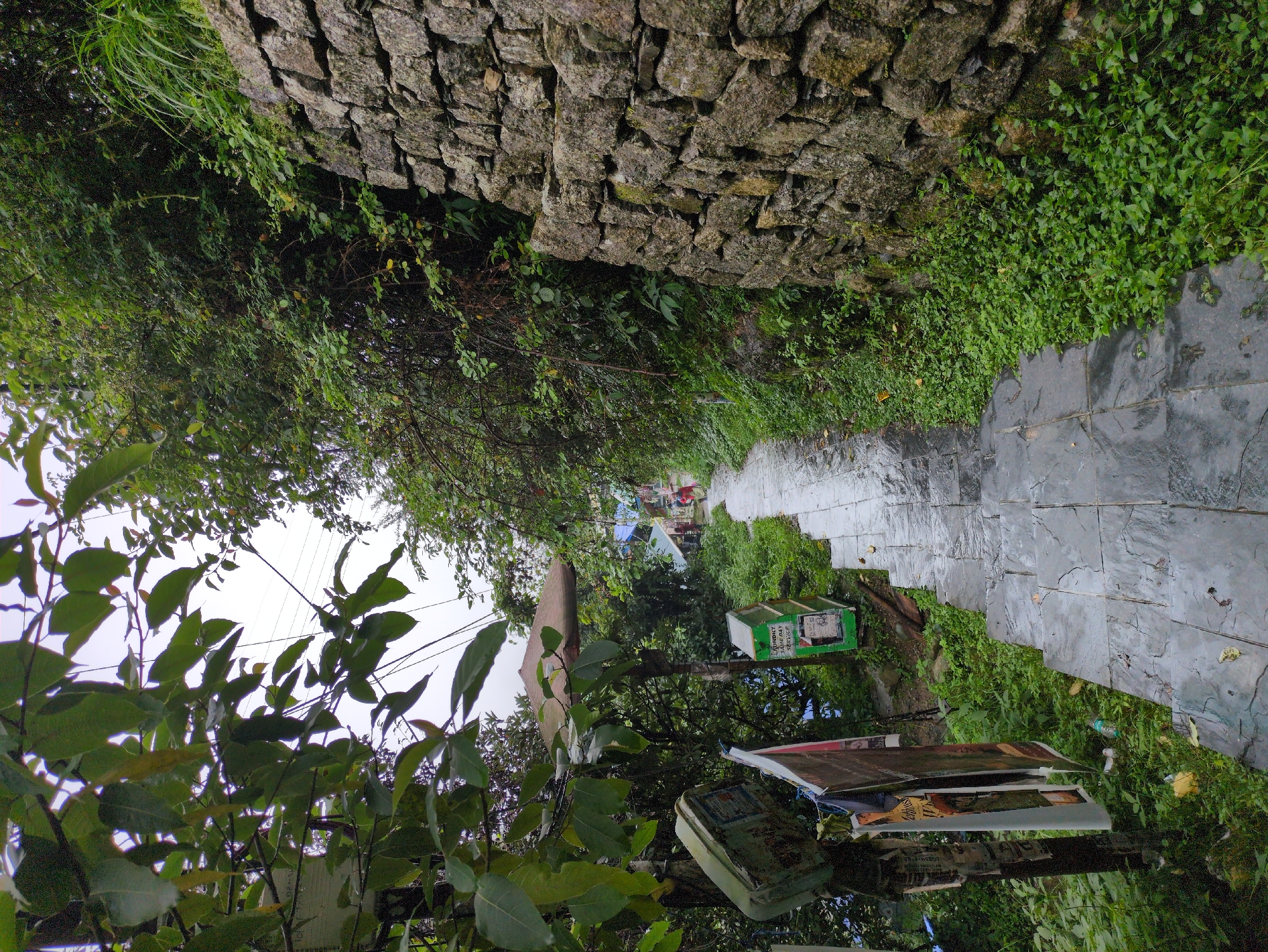 The image depicts a descending stone stairway in Bhagsu, India, flanked by lush green vegetation and a dry stone wall. The stairway, made of large, rectangular stone slabs, appears wet, suggesting recent rain. To the left of the stairs, a weathered wooden post holds several posters or notices, one with visible text, and a green metal box. Further down the path, another green metal box, possibly a vending machine or information kiosk, is visible. The path recedes into the distance, where a few people, too small to discern details, can be seen walking. Overhanging trees with large leaves frame the upper left portion of the image. The overall scene suggests a tranquil, natural setting within a populated area.