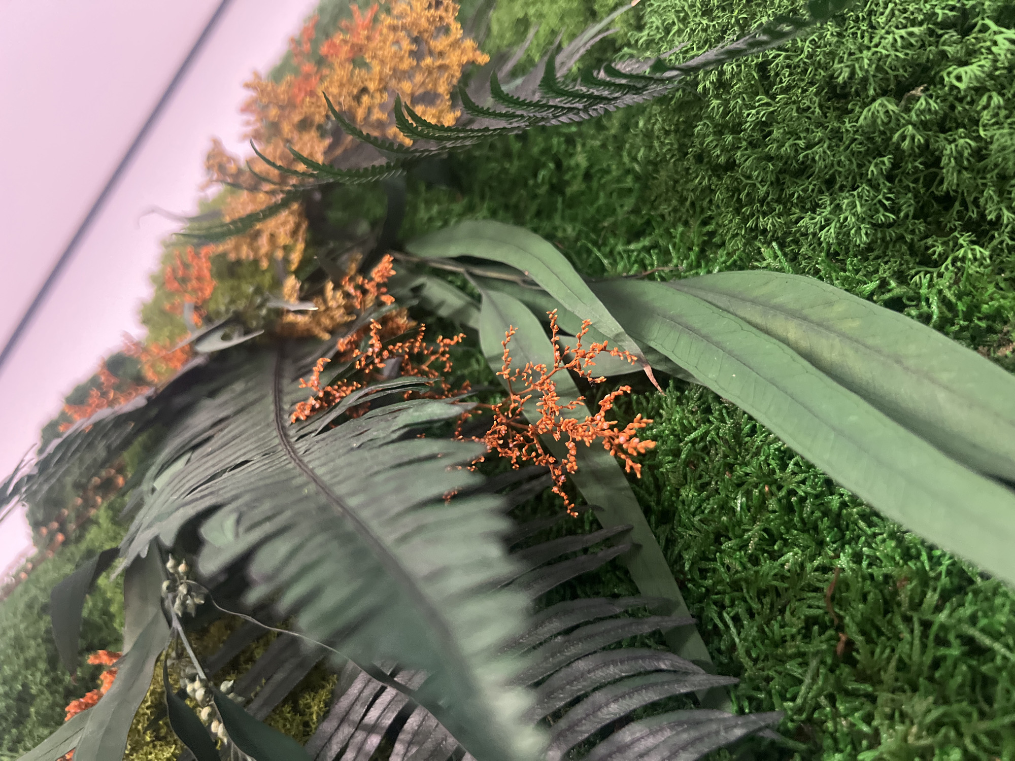 This is a close-up, high-angle shot of a decorative green moss wall with artificial tropical plants. The moss forms a dense, textured carpet covering the surface. Large, dark green palm-like leaves with distinct veins are prominent in the foreground, partially obscuring smaller, delicate orange flowers that are scattered across the moss. In the background, more of the orange flowers are visible, interspersed with green foliage, all mounted on a wall. The lighting suggests an indoor environment, possibly a commercial space or home decor installation, and there is no indication of any outdoor elements or specific location within the city of Минзаг, Russia. The scene is static, with no people or activity depicted.